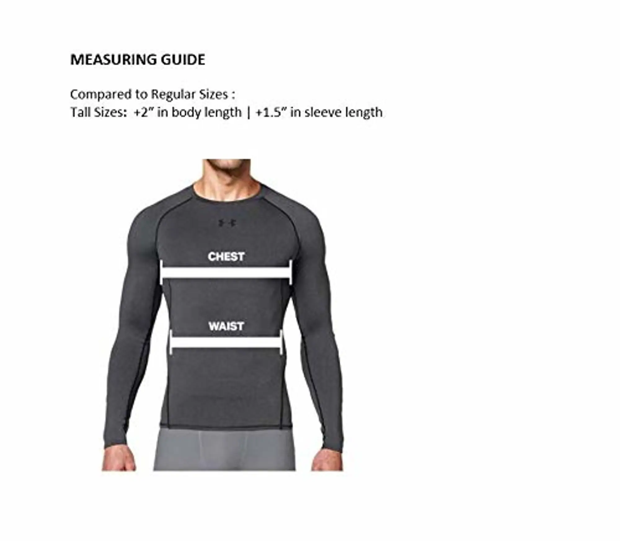 Under Armour Heat Gear Long Sleeve Compression Top