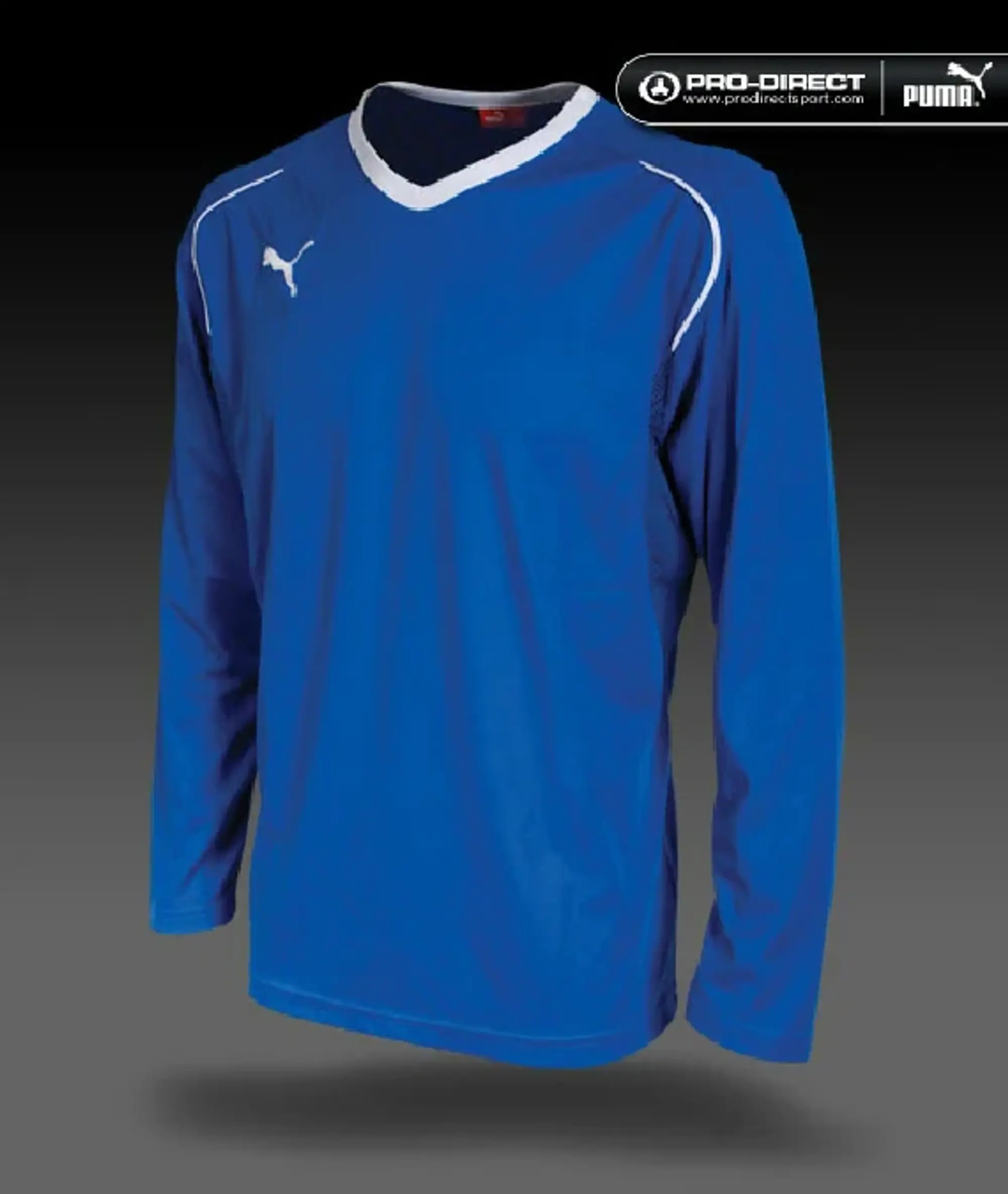 Puma V5.08 Long Sleeve Blue Mens Training Football Top 700472 02