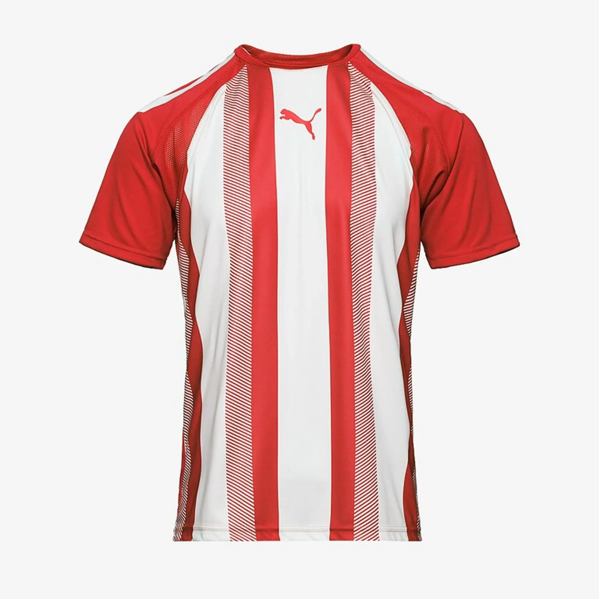 Puma Team Liga Striped SS Shirt