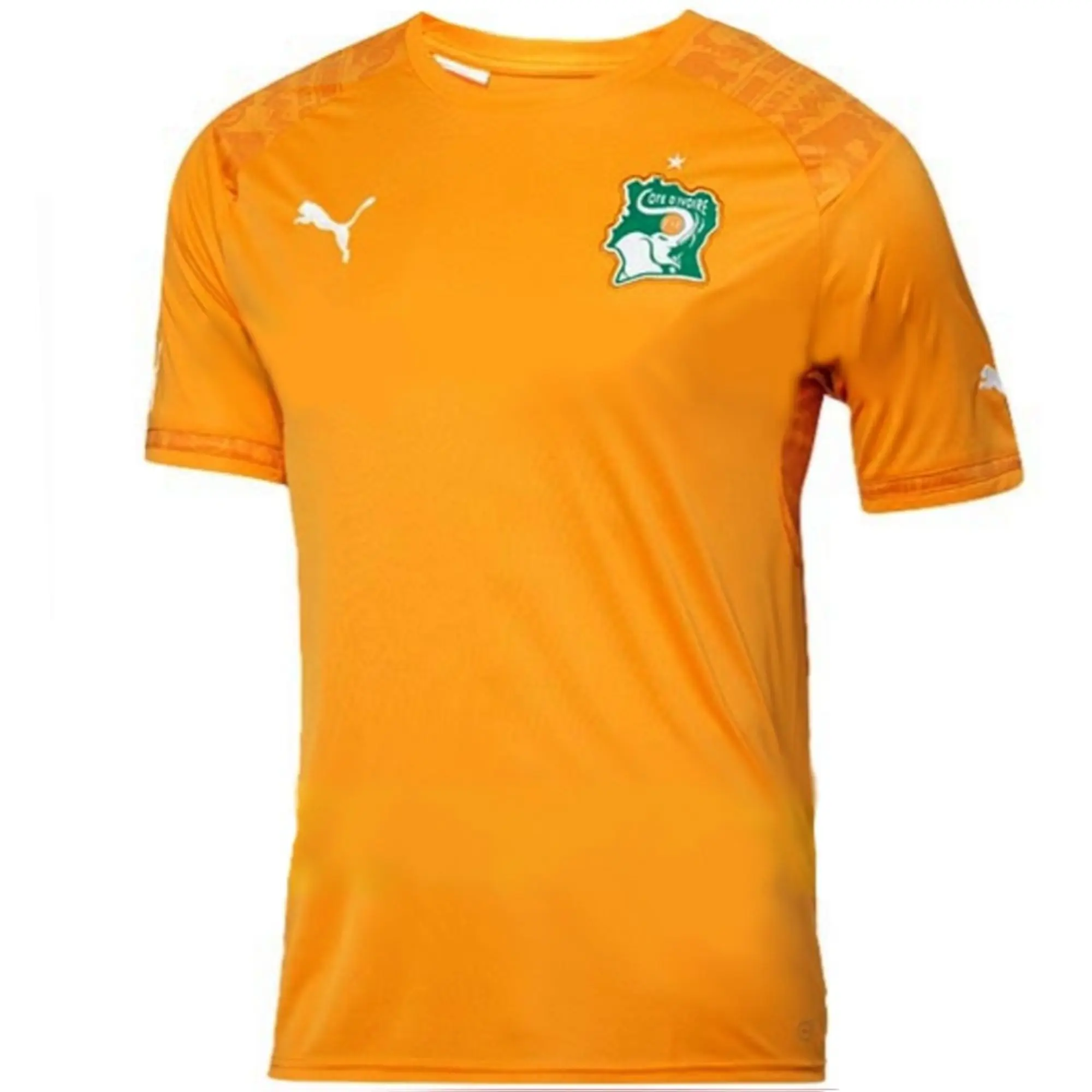 Puma Ivory Coast Mens SS Home Shirt 2014