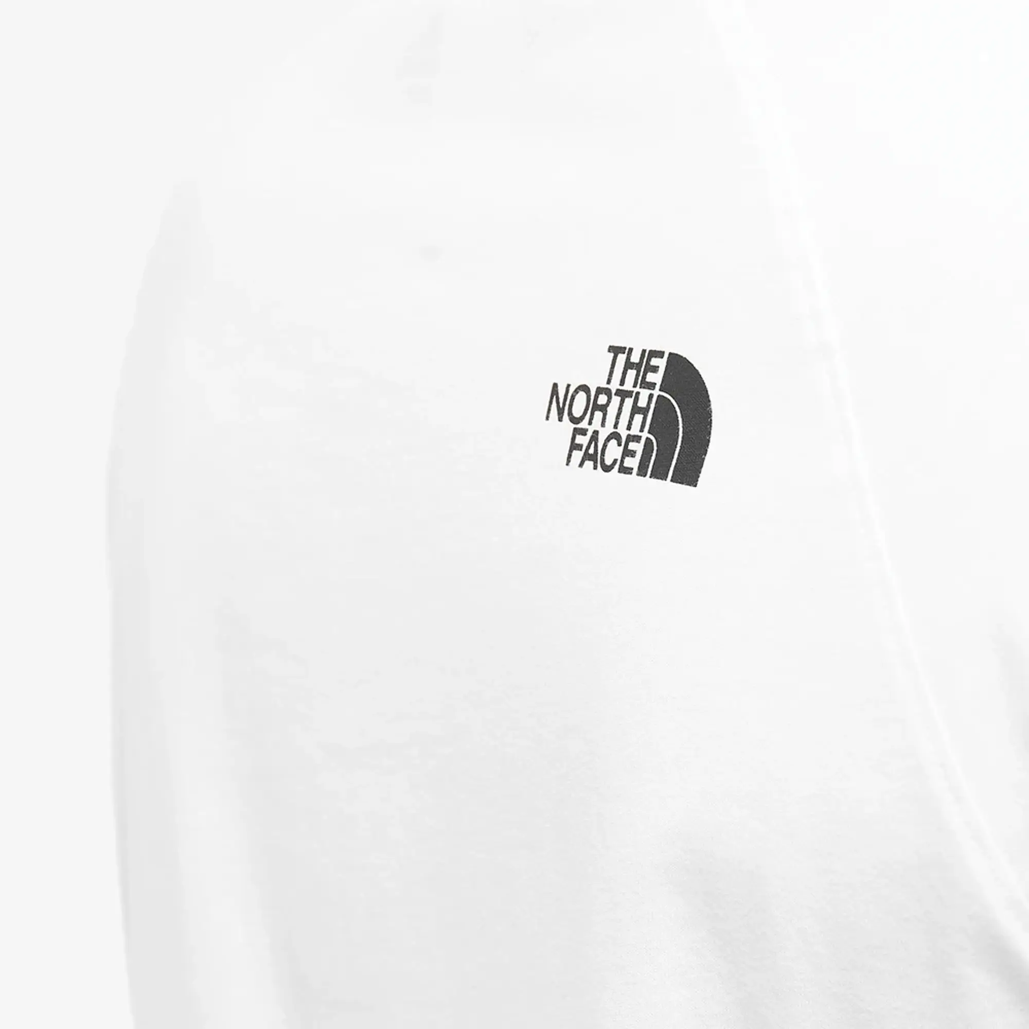 The North Face Raglan Red Box T-Shirt In White