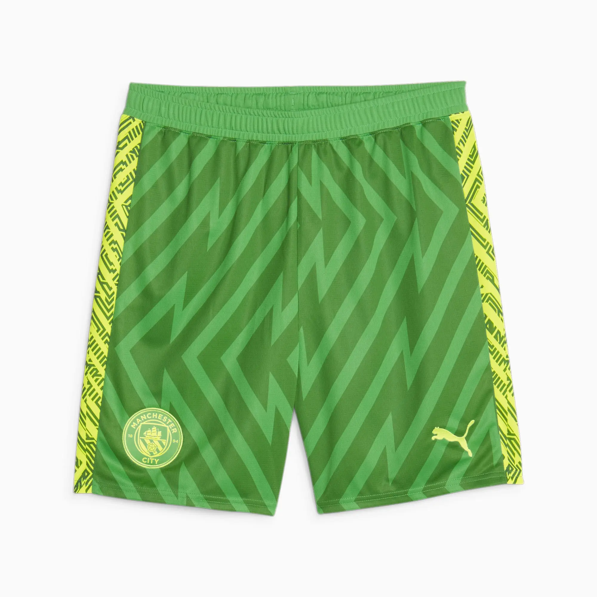 Puma 2023-2024 Man City Home Goalkeeper Shorts (Green)