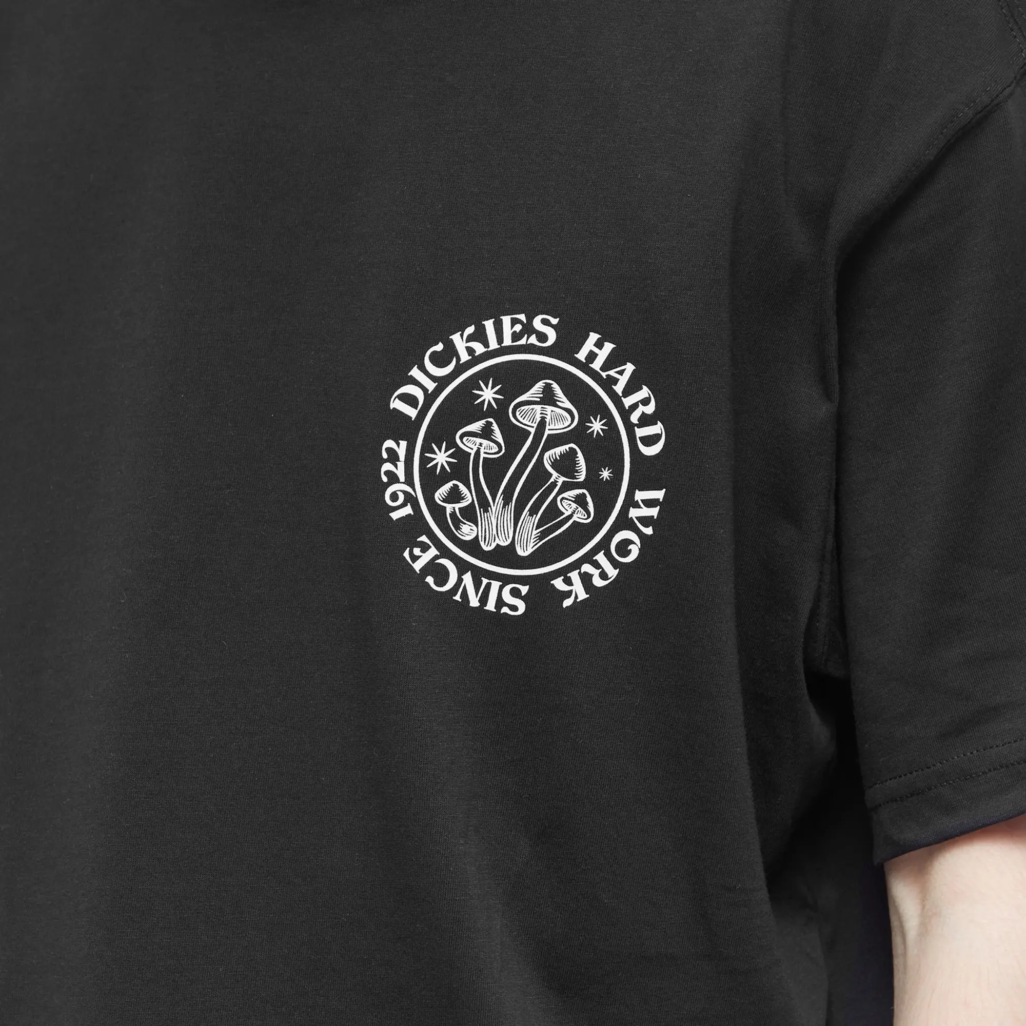 Dickies Men's Bayside Gardens T-Shirt Black