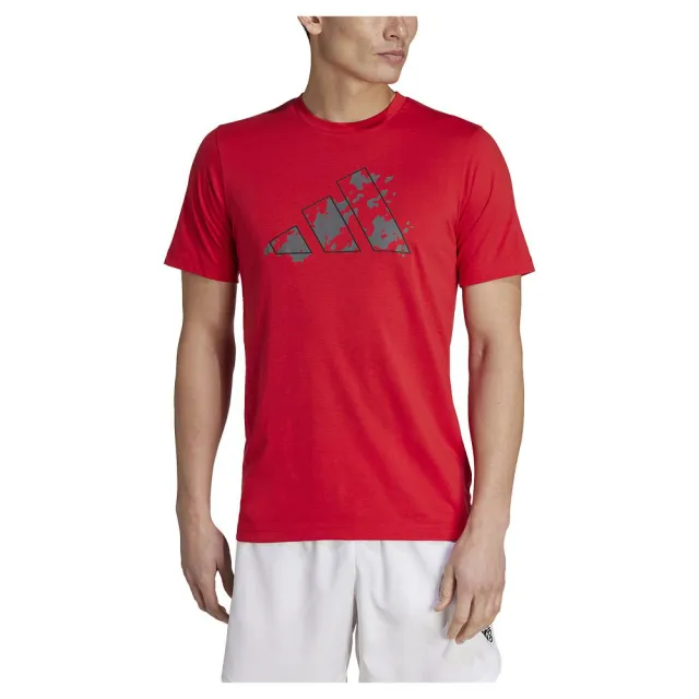 Adidas Essentials Seasonal Graphic Short Sleeve T-shirt S / Regular Man ...