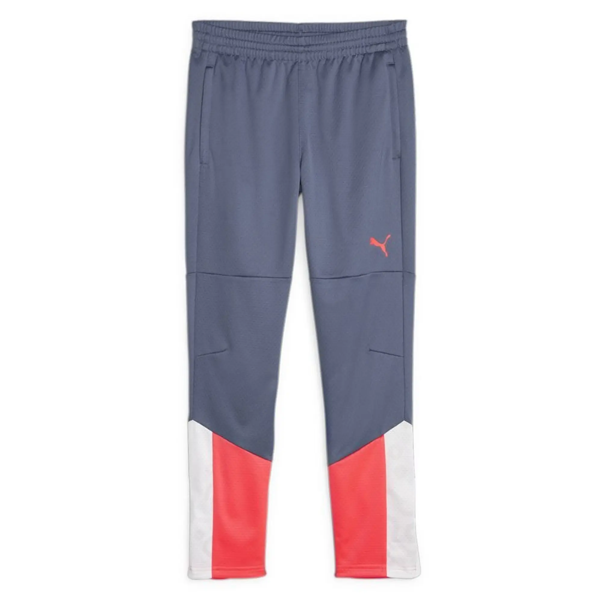 Puma Training Trousers Individualcup - Blue