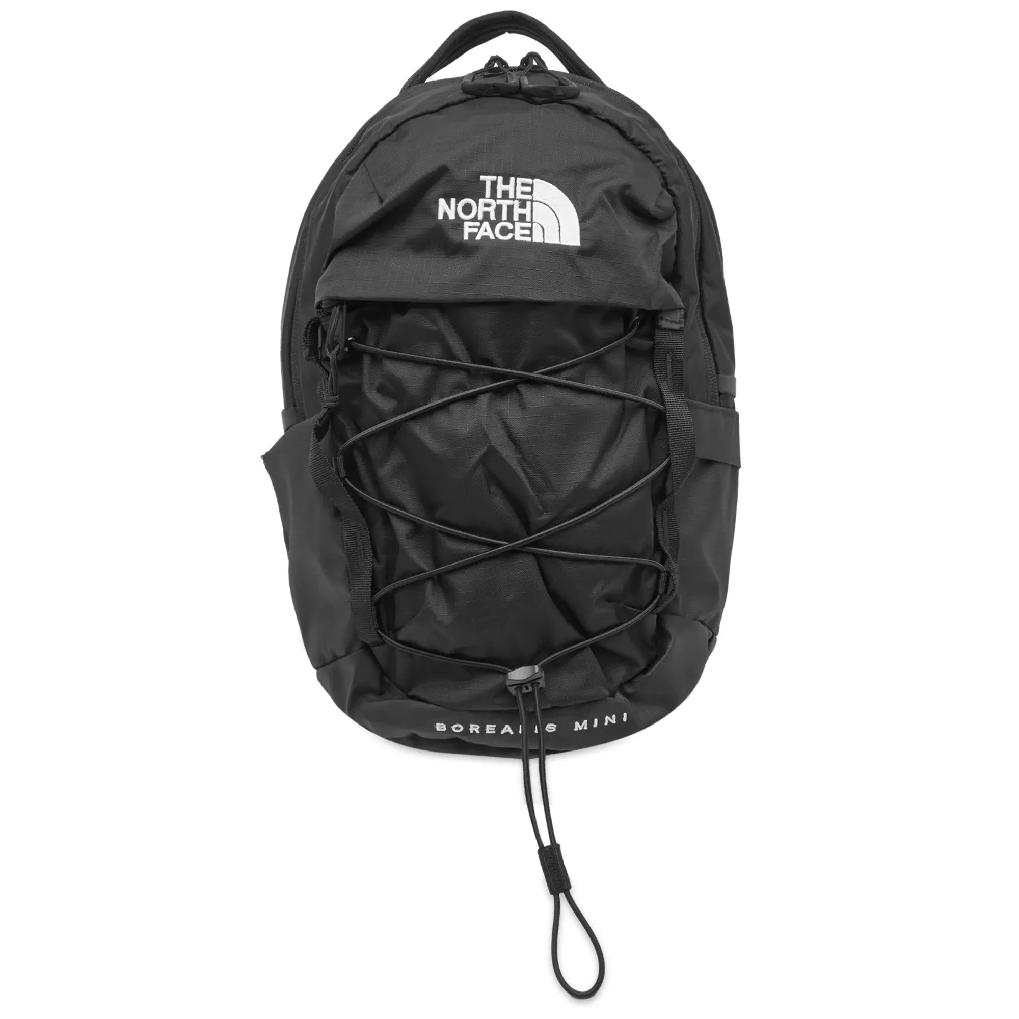 The North Face Borealis Mini 10L Flexvent Backpack In Black
