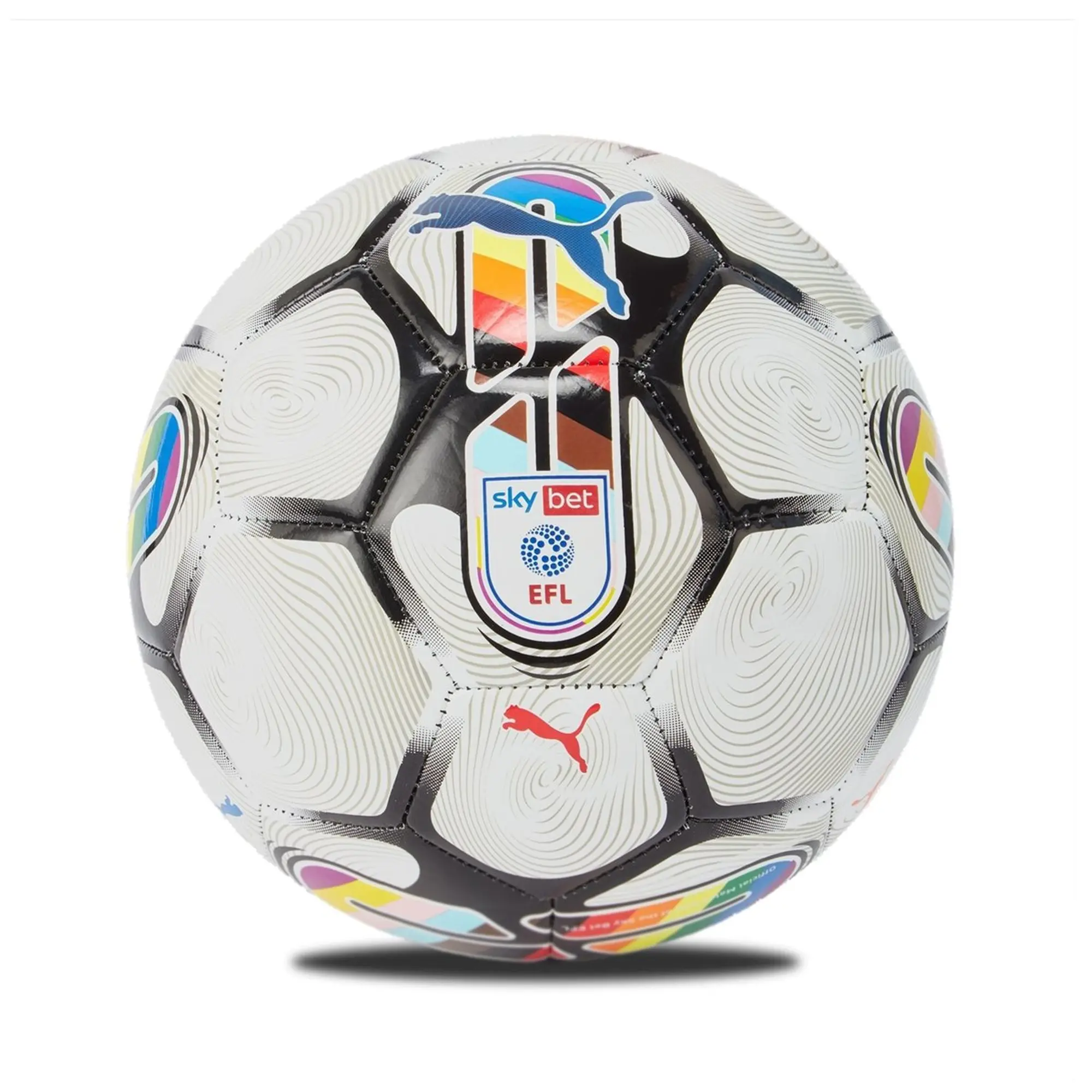 Puma Orbita 6 EFL 23 24 MS Football
