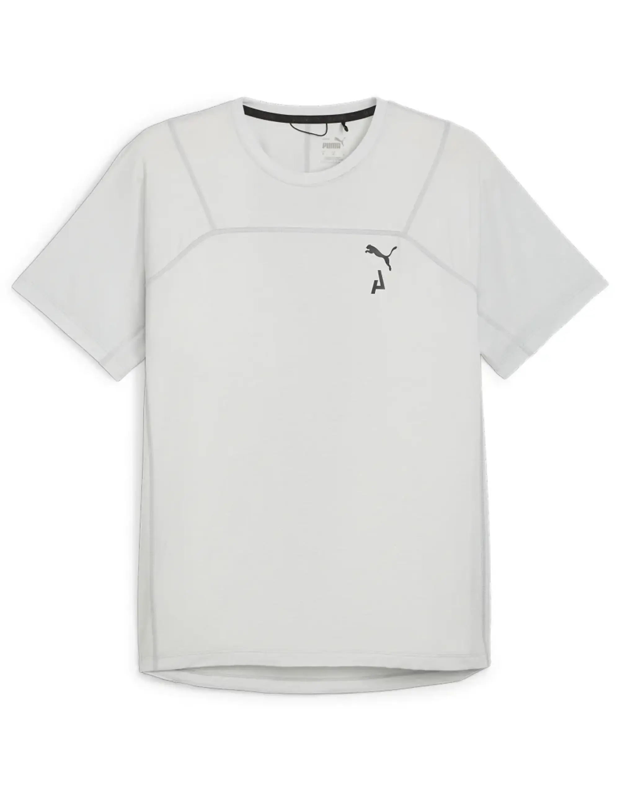 Puma Seasons T-Shirt In Silver Mist-Grey