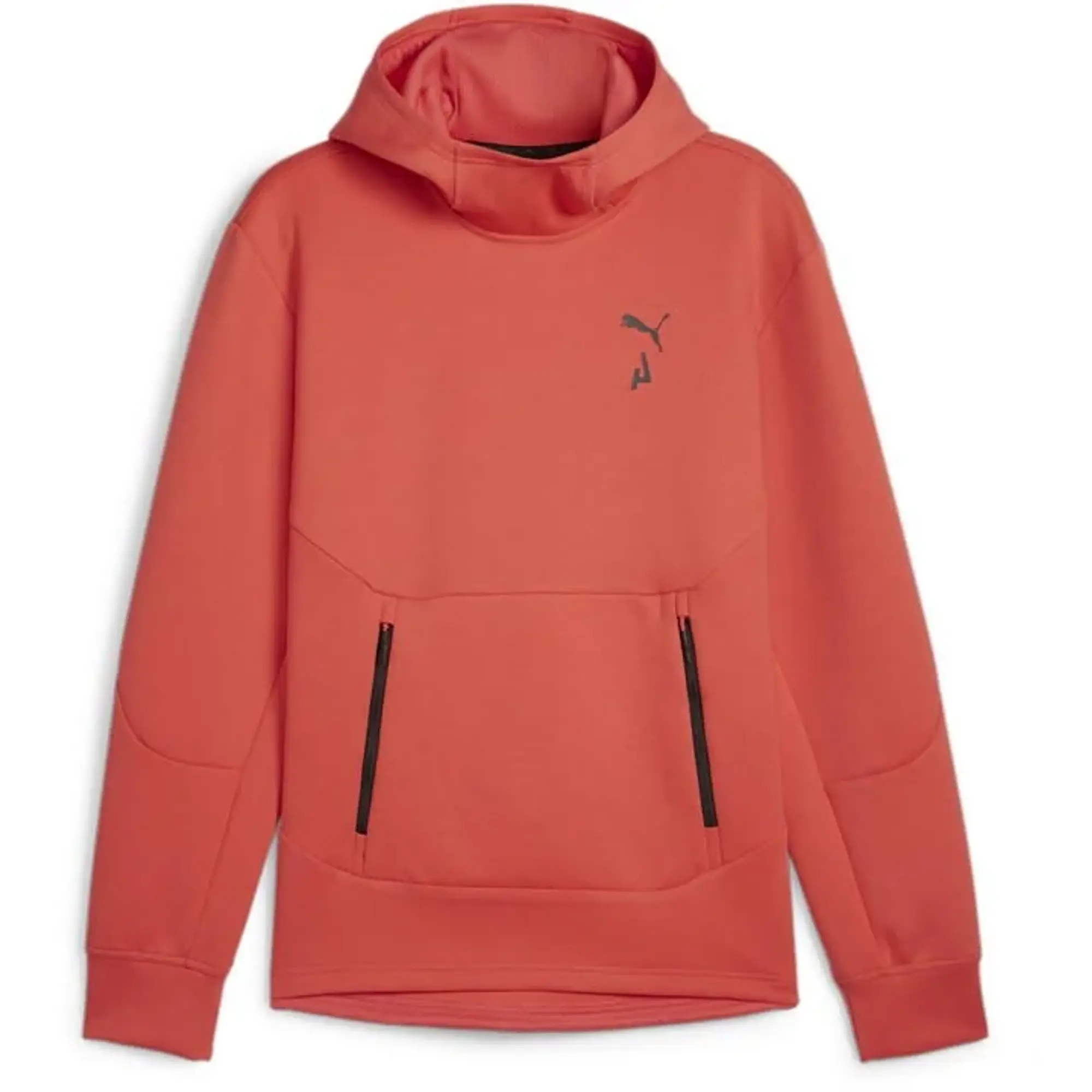 Puma Mens Seasons Hoodie - Red