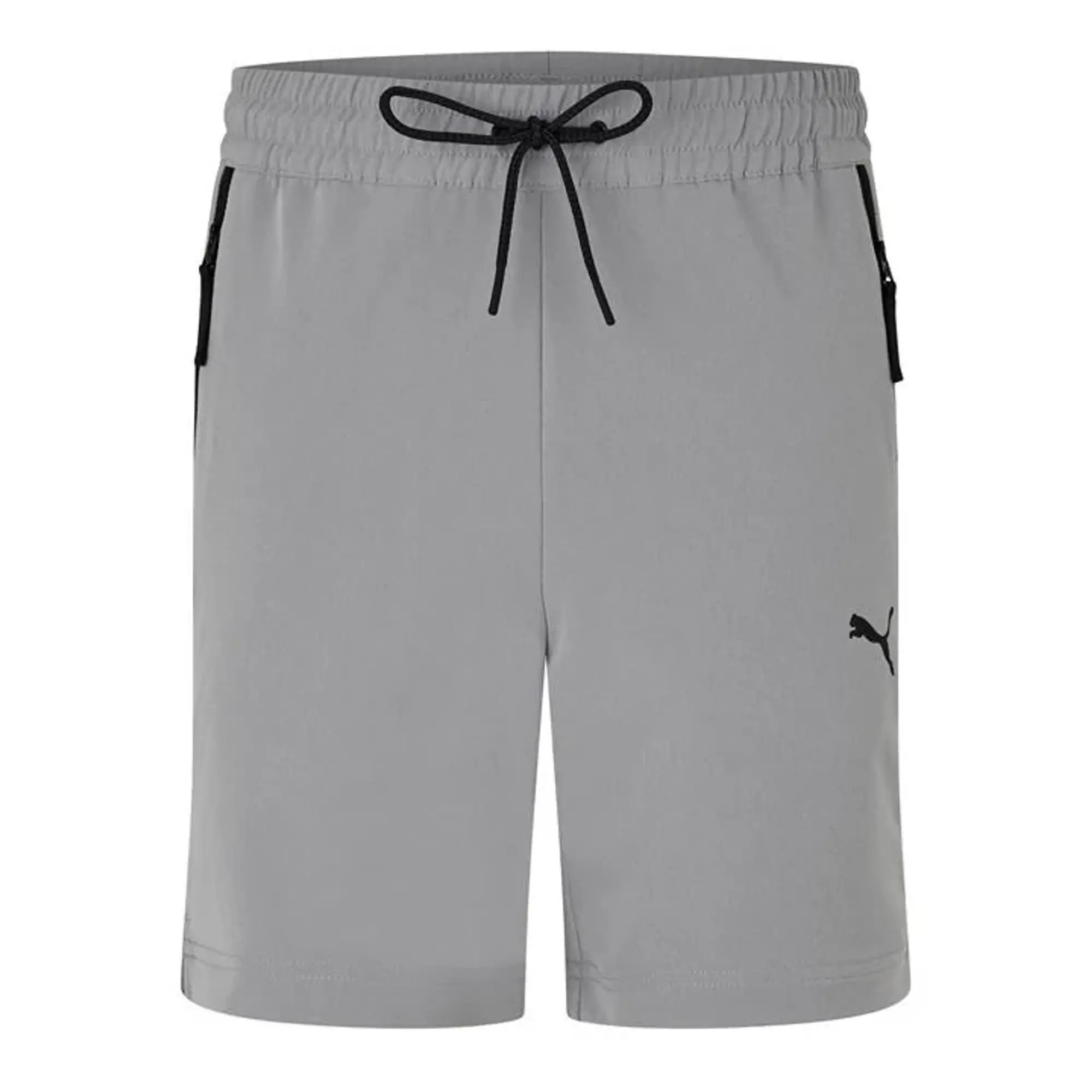 Puma Mens tech Shorts - Grey