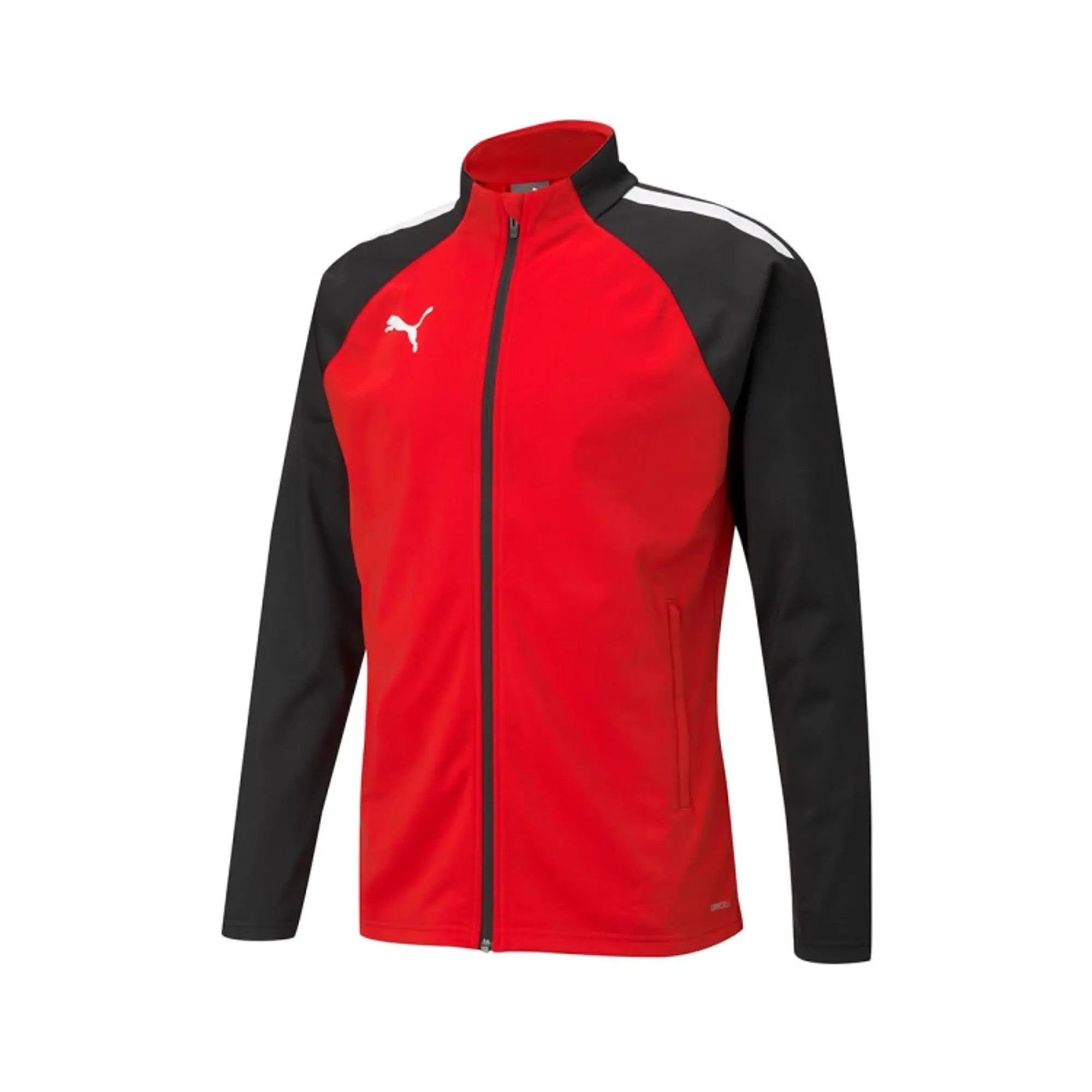Puma teamLIGA Training Jacket