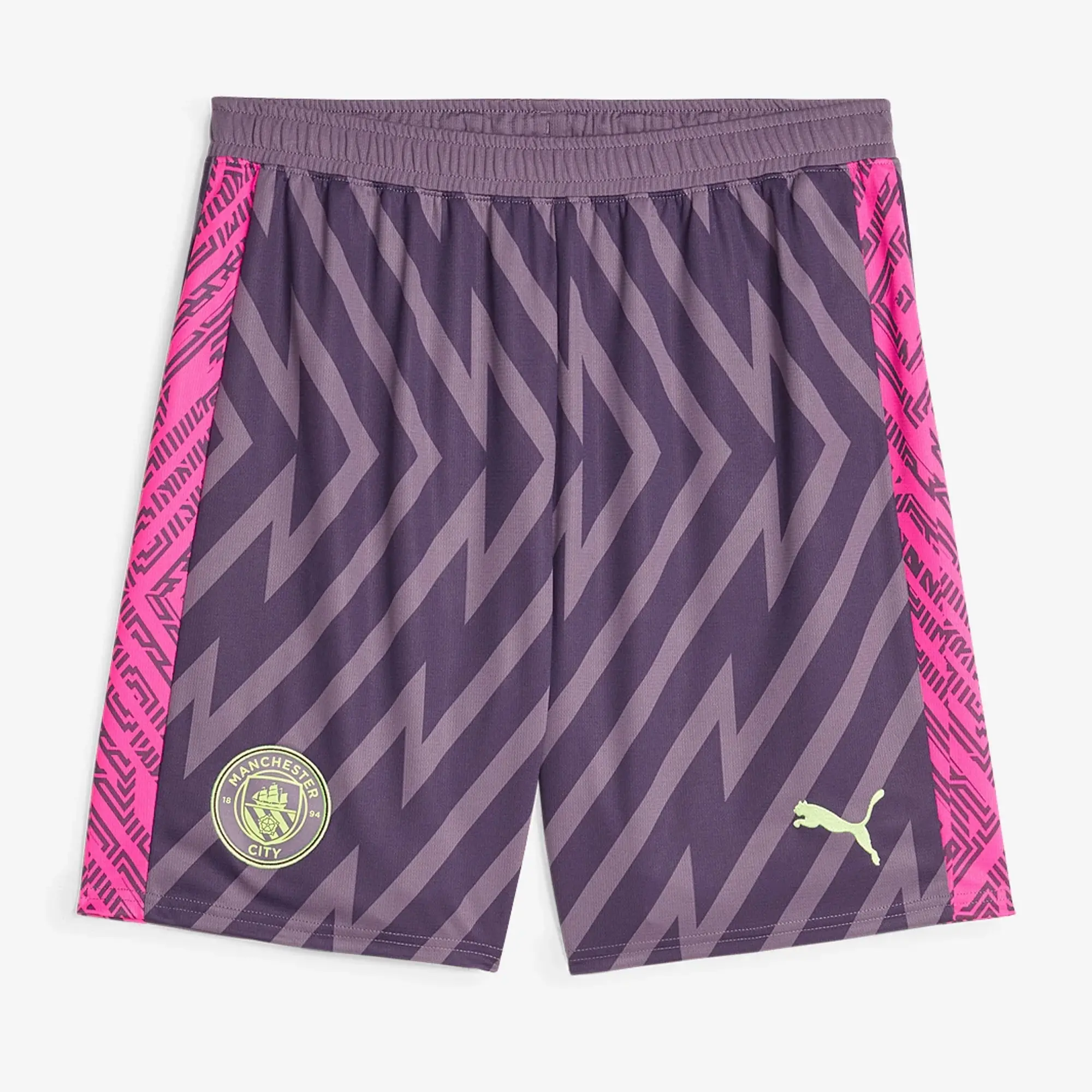 Puma Manchester City 23 24 GK Short