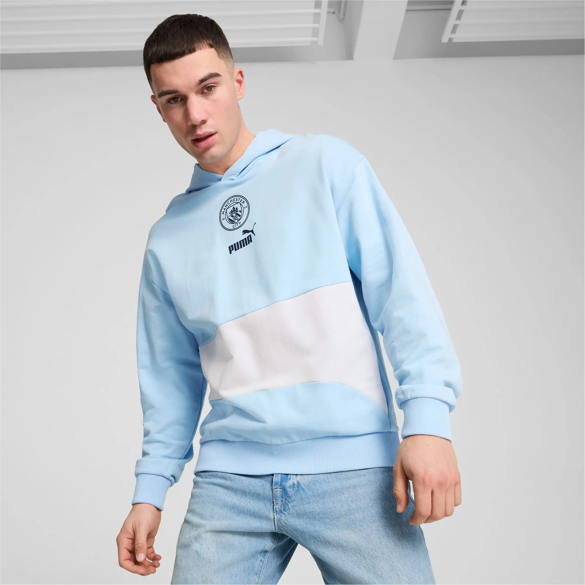 PUMA Manchester City Ftblculture+ Hoodie Men, Silver Mist/Silver Sky