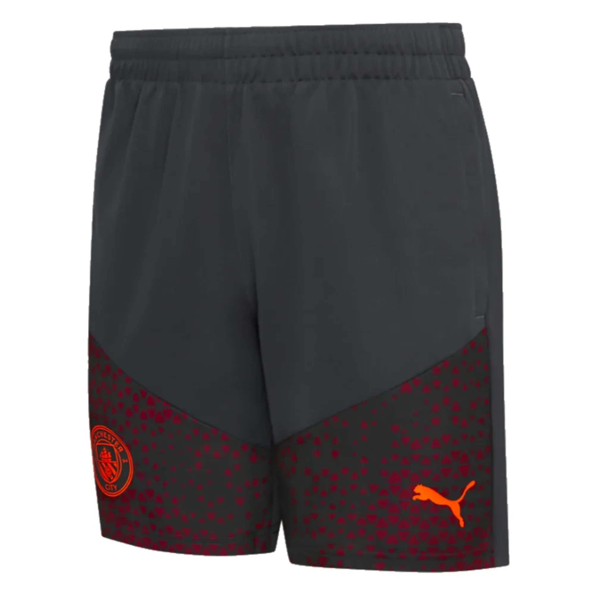 Puma Manchester City Mens Home Shorts 2023/24