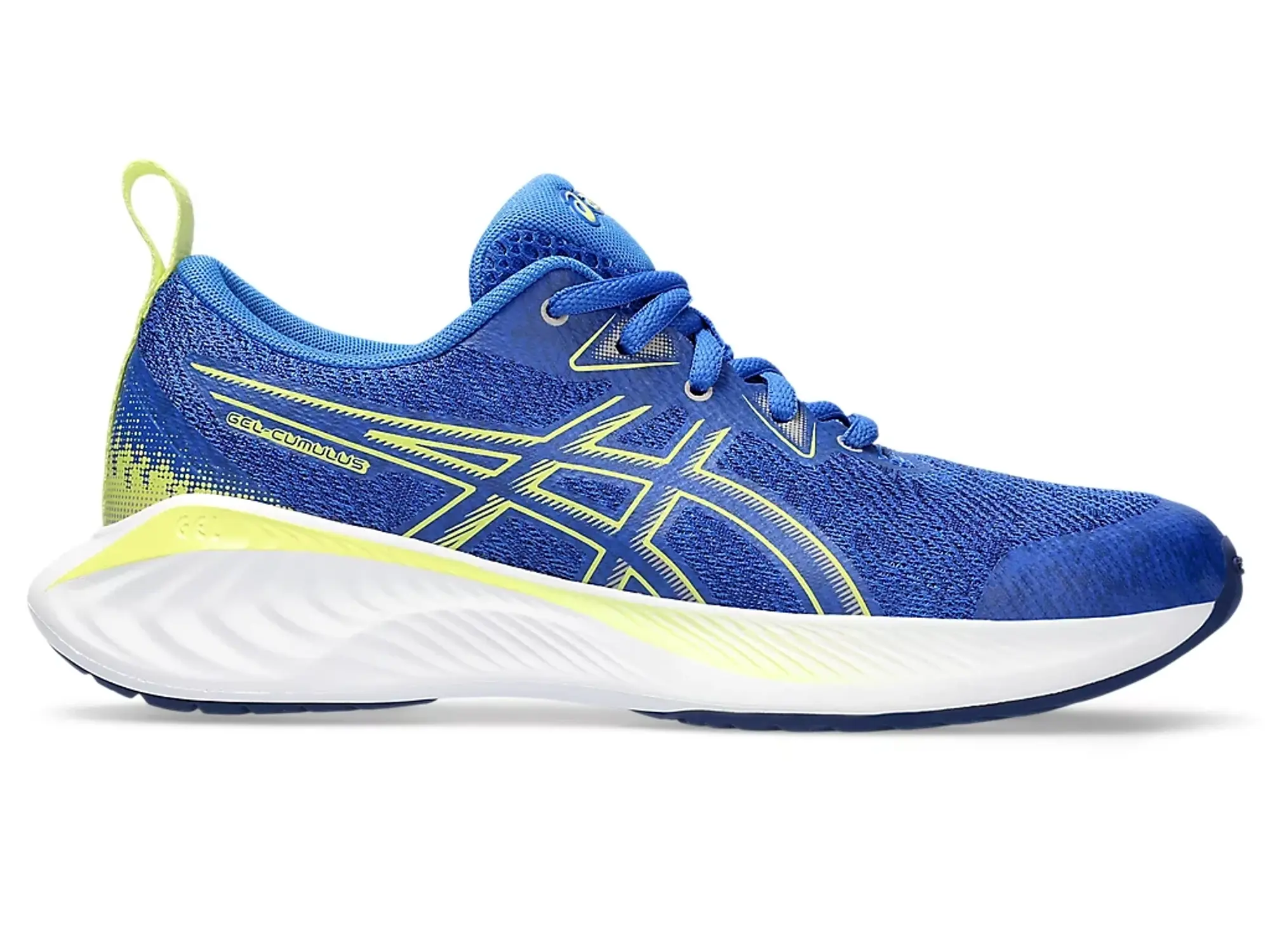 Asics Gel-cumulus 25 Gs Running Shoes