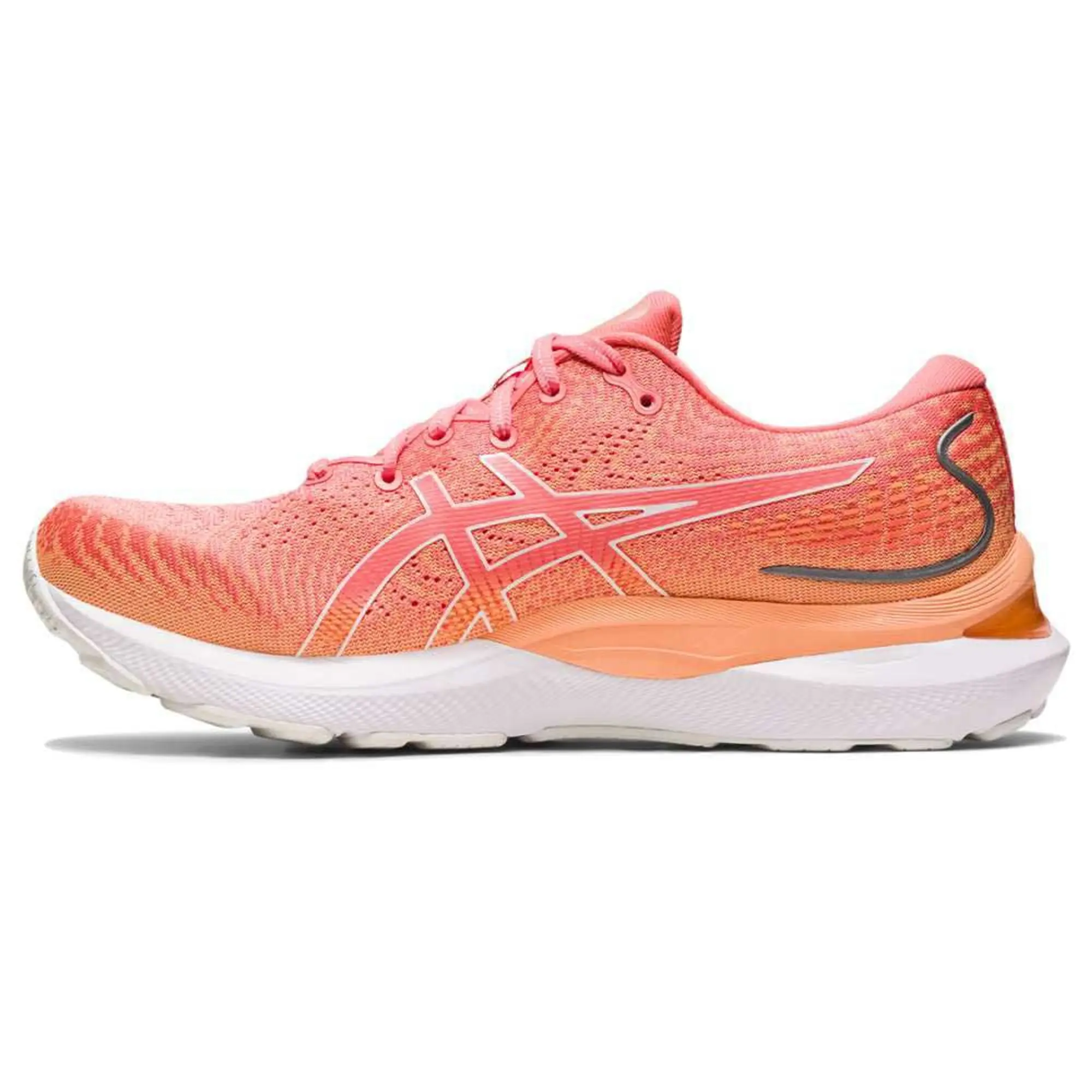 Asics Gel-cumulus 24 Running Shoes  - Orange