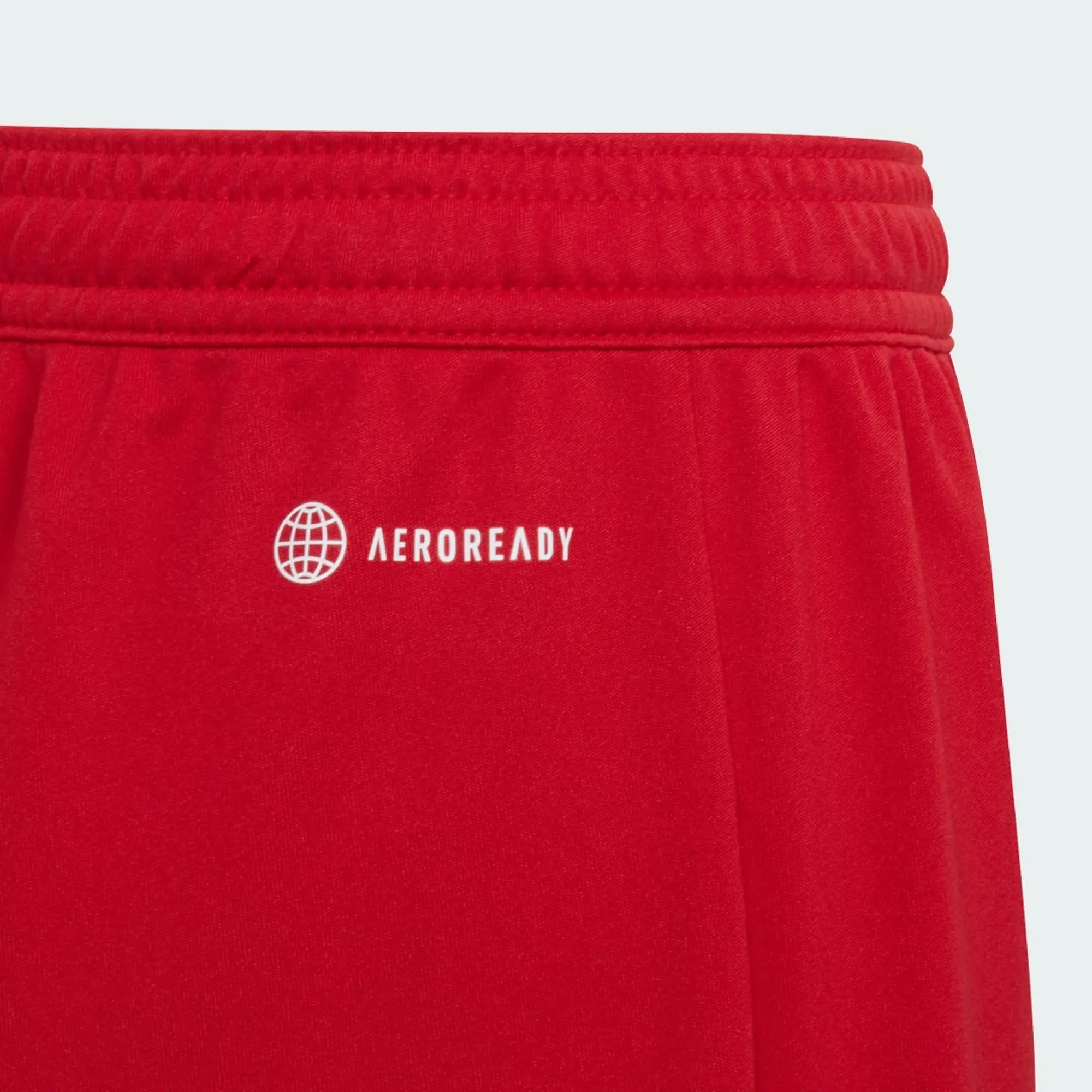 adidas ENT22 Shorts Juniors