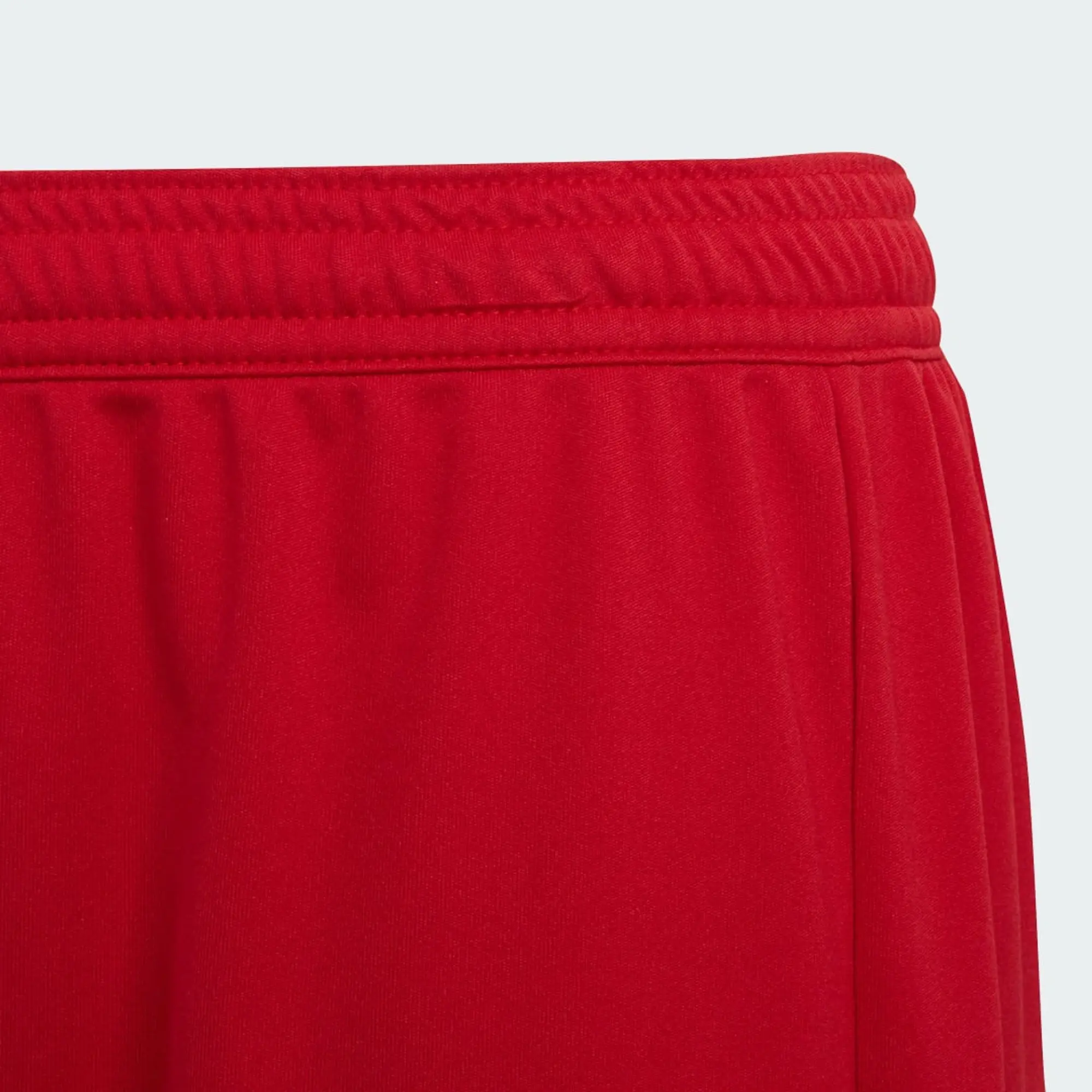 adidas ENT22 Shorts Juniors