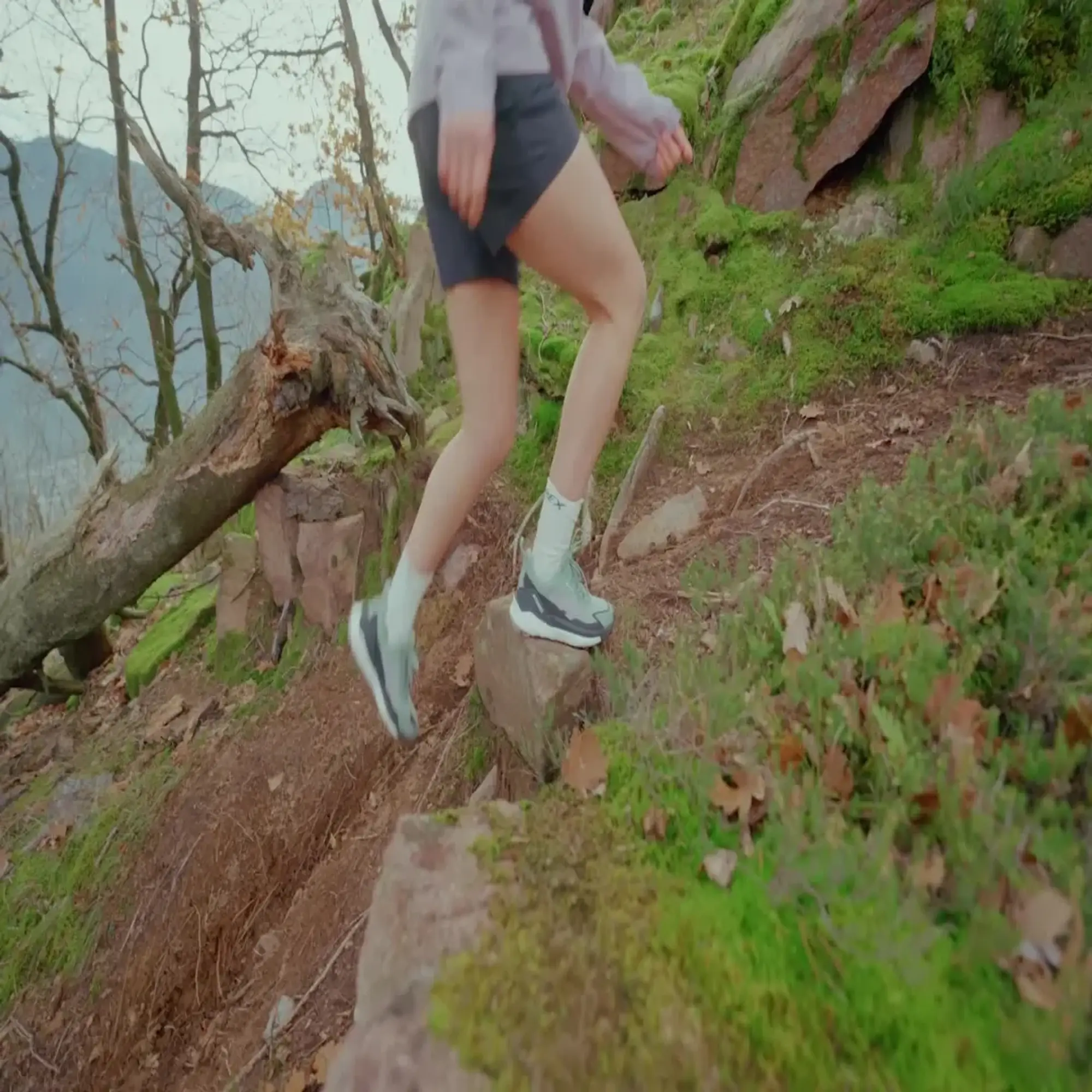 adidas FREE HIKER 2.0 LOW GORE-TEX