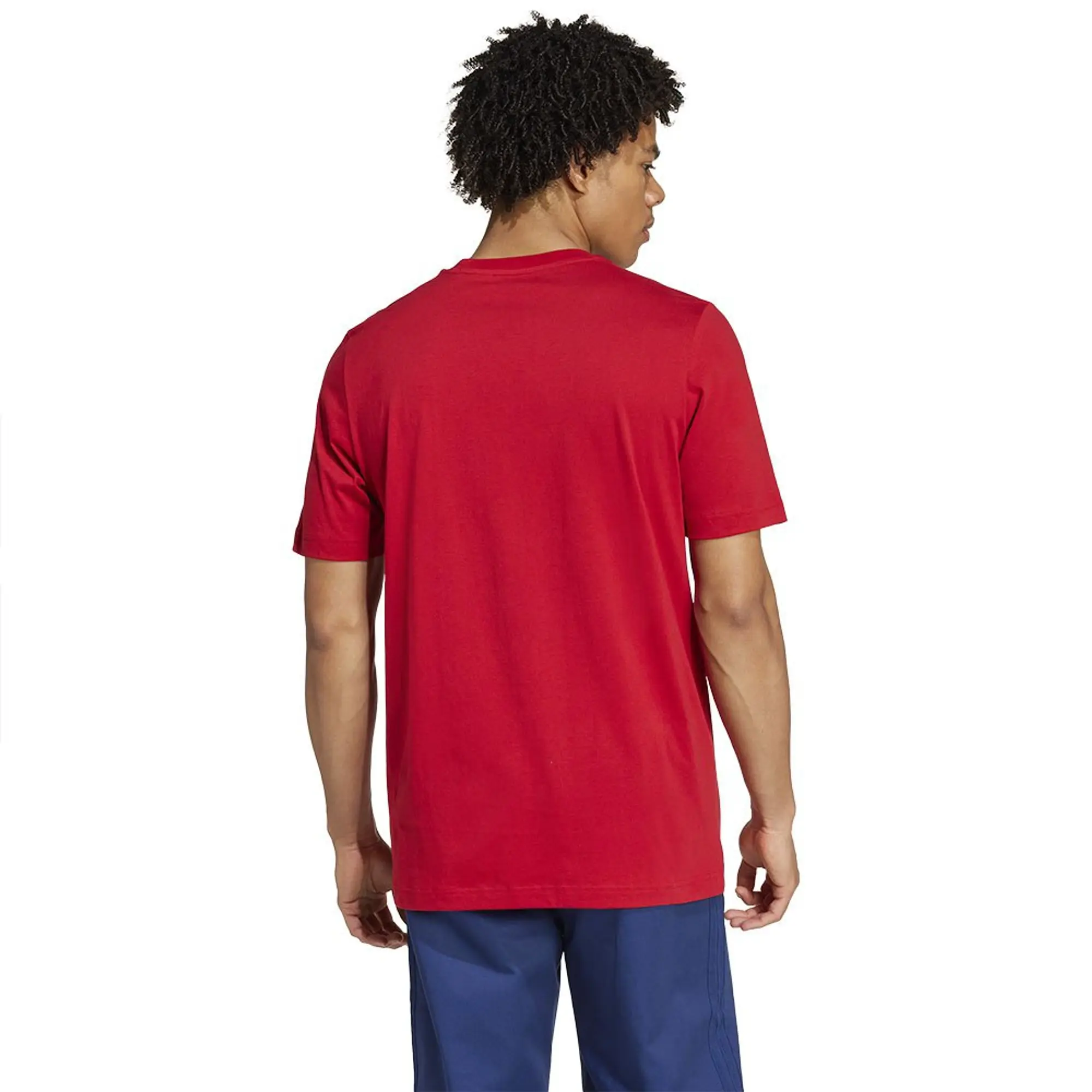 adidas Men FC Bayern DNA Graphic Tee