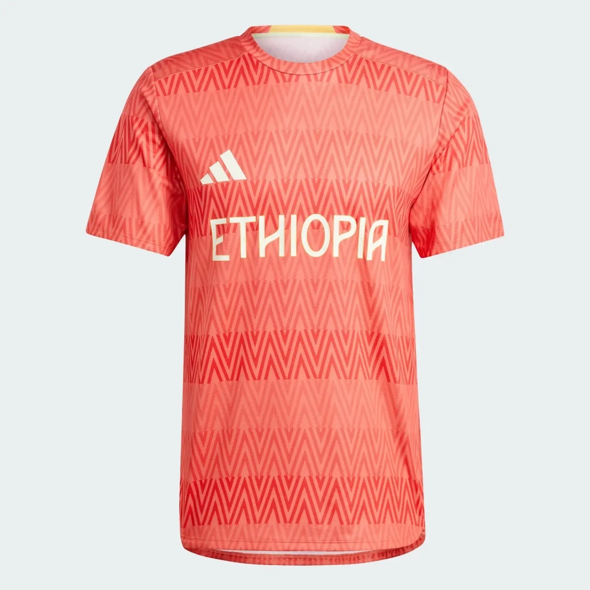 adidas Men Team Ethiopia HEAT.RDY Training Tee