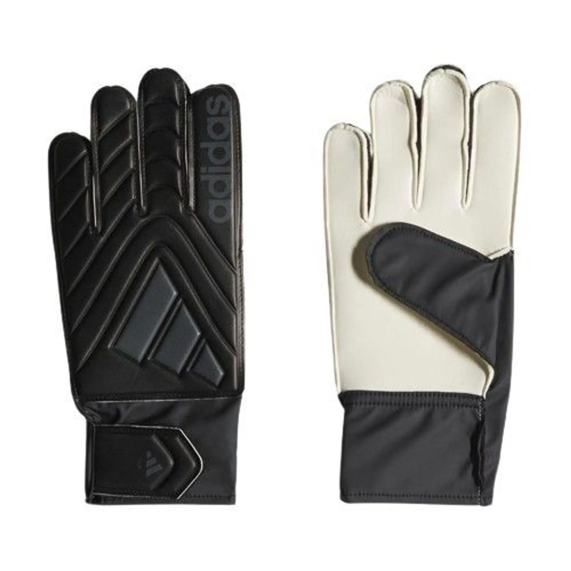 Adidas Goalkeeper Gloves Copa Club Nightstrike - ['Black']