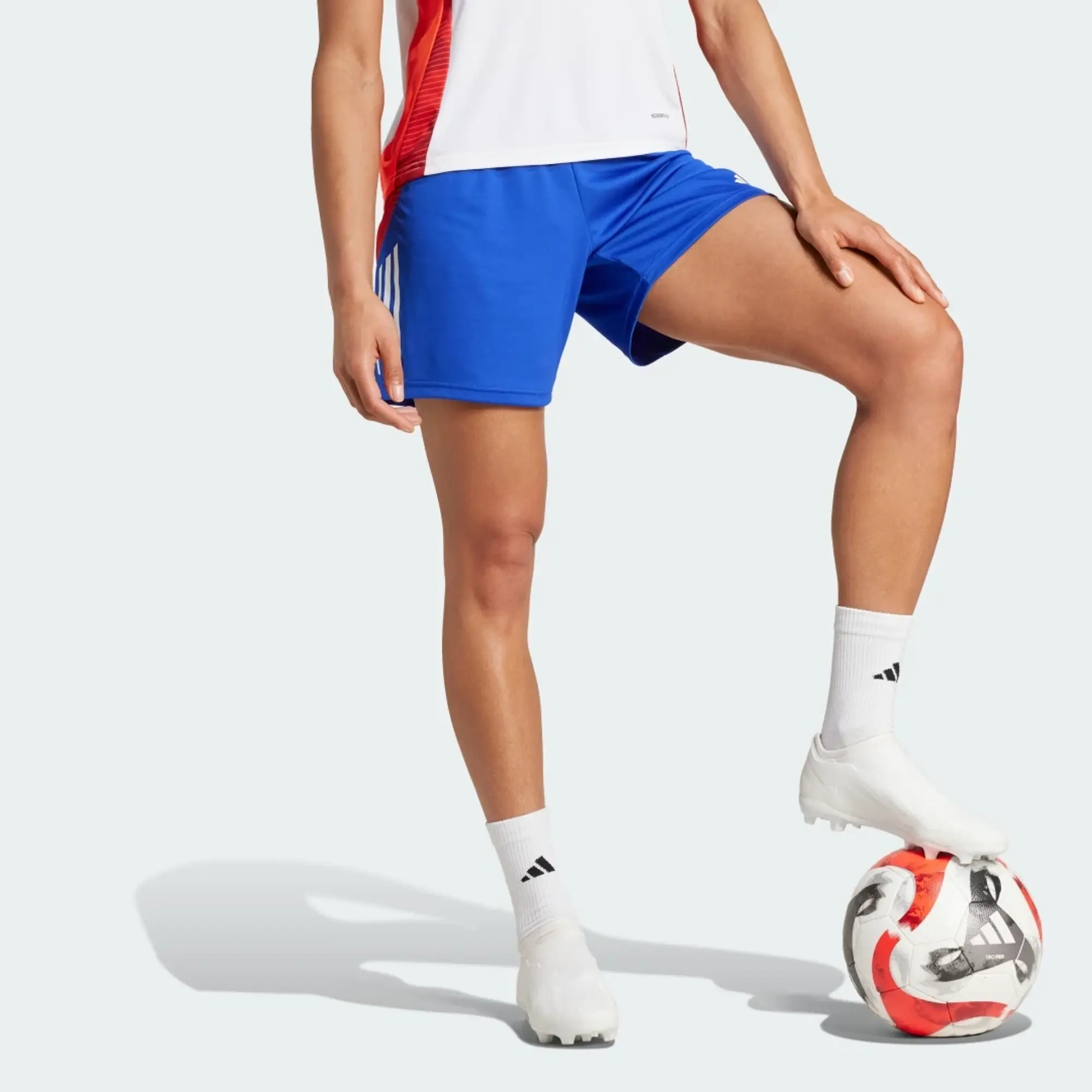 Adidas Tiro 24 Competition Training Shorts