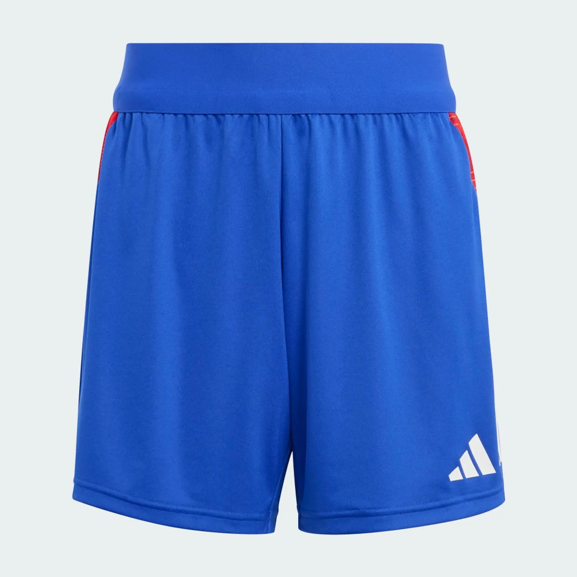 Adidas Tiro 24 Competition Training Shorts