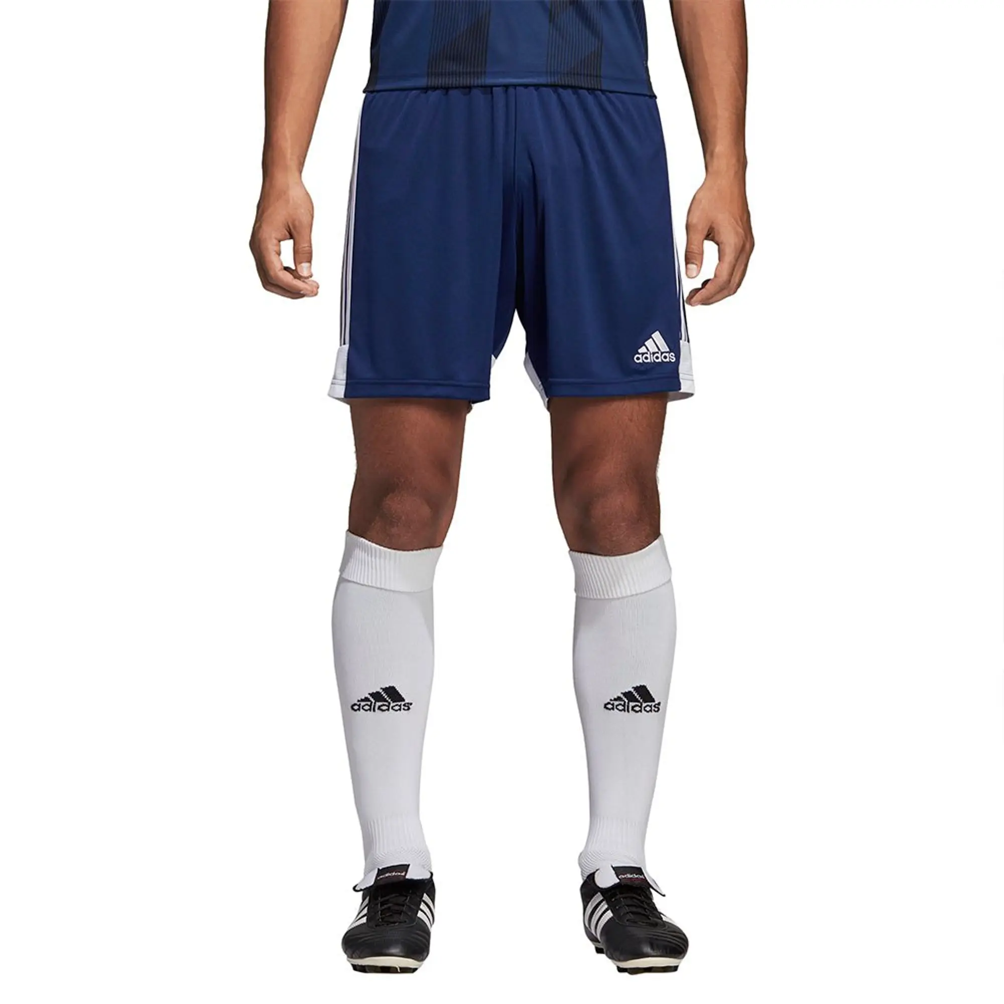Adidas Tastigo 19 Shorts  - Blue