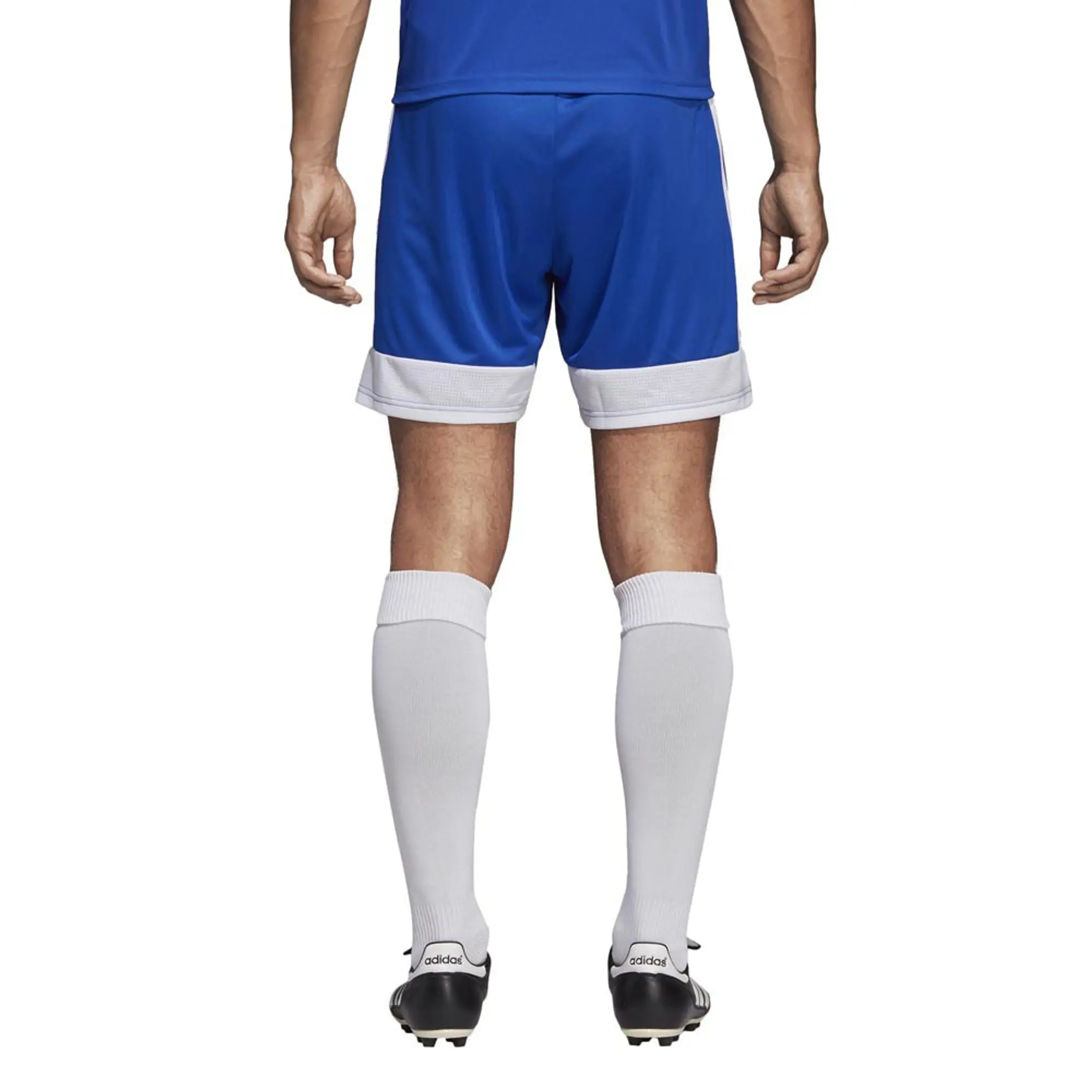 adidas Tastigo 19 Shorts