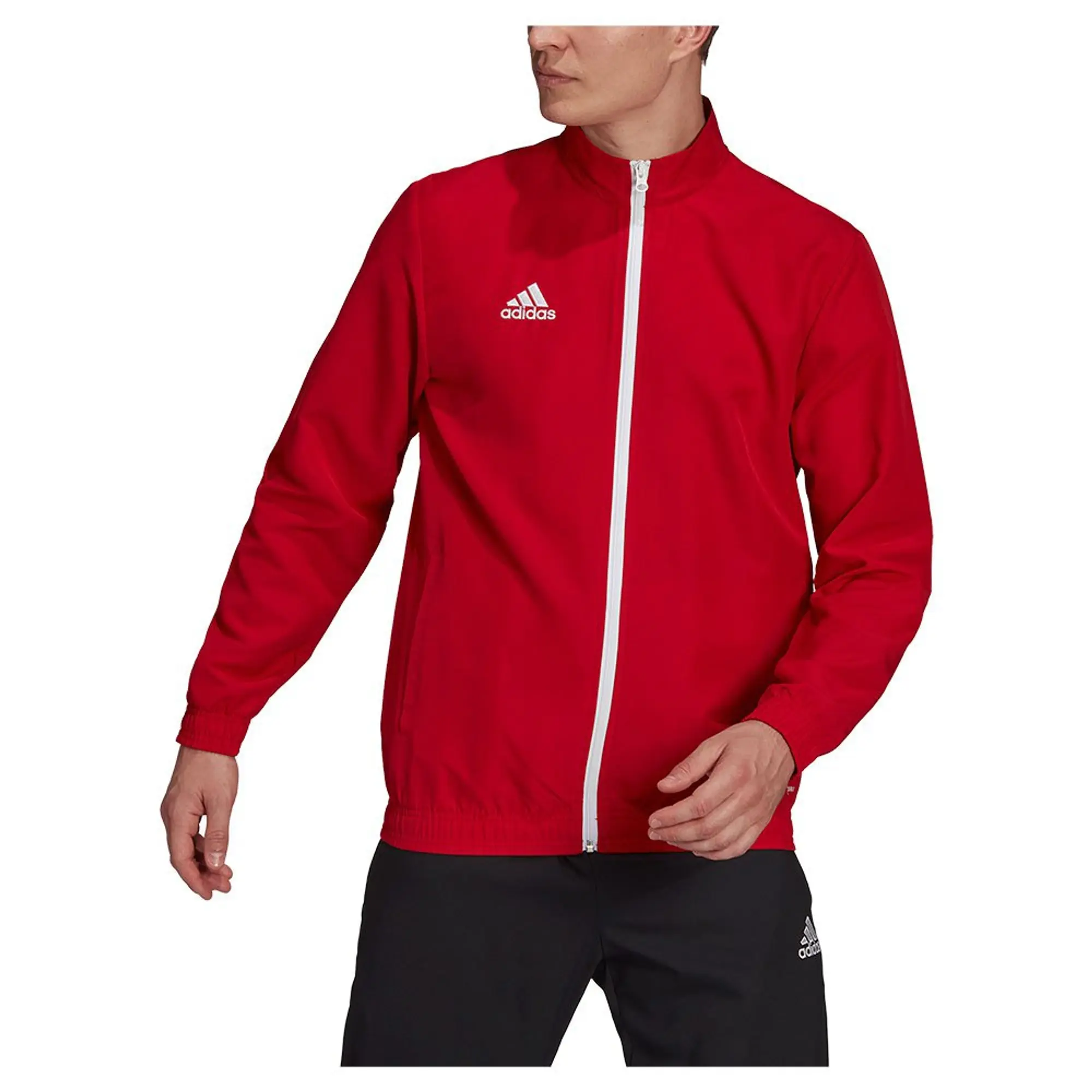 adidas Entrada 22 Presentation Jacket