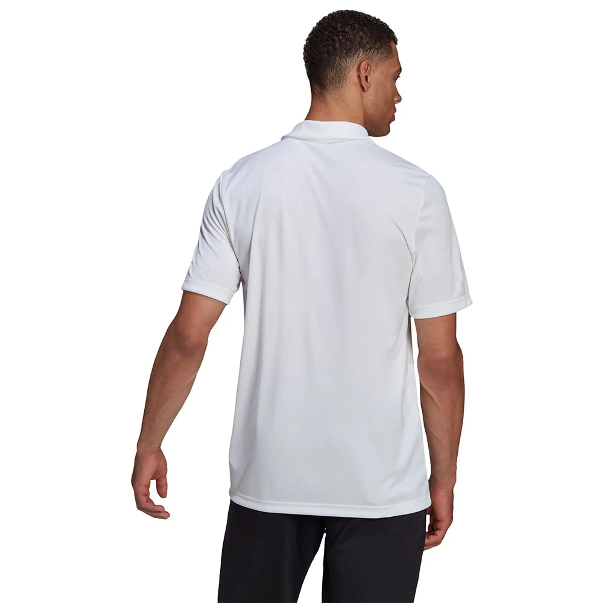 adidas Entrada 22 SS Polo