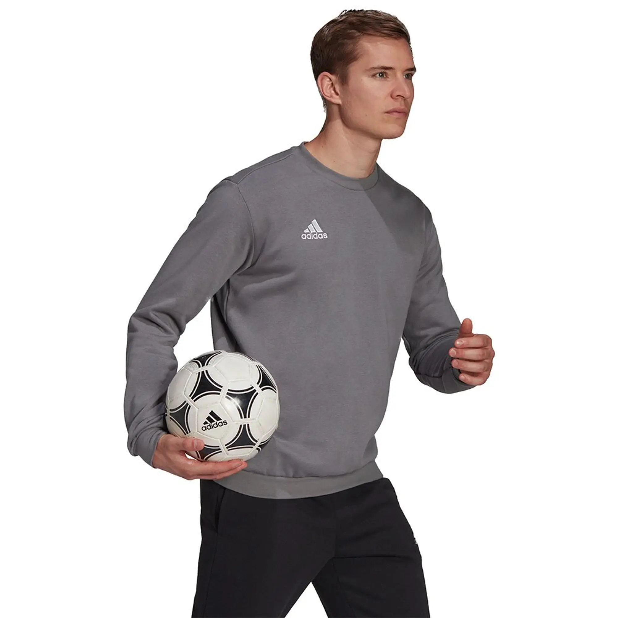 Adidas Sweatshirt Entrada 22 - ['Grey']
