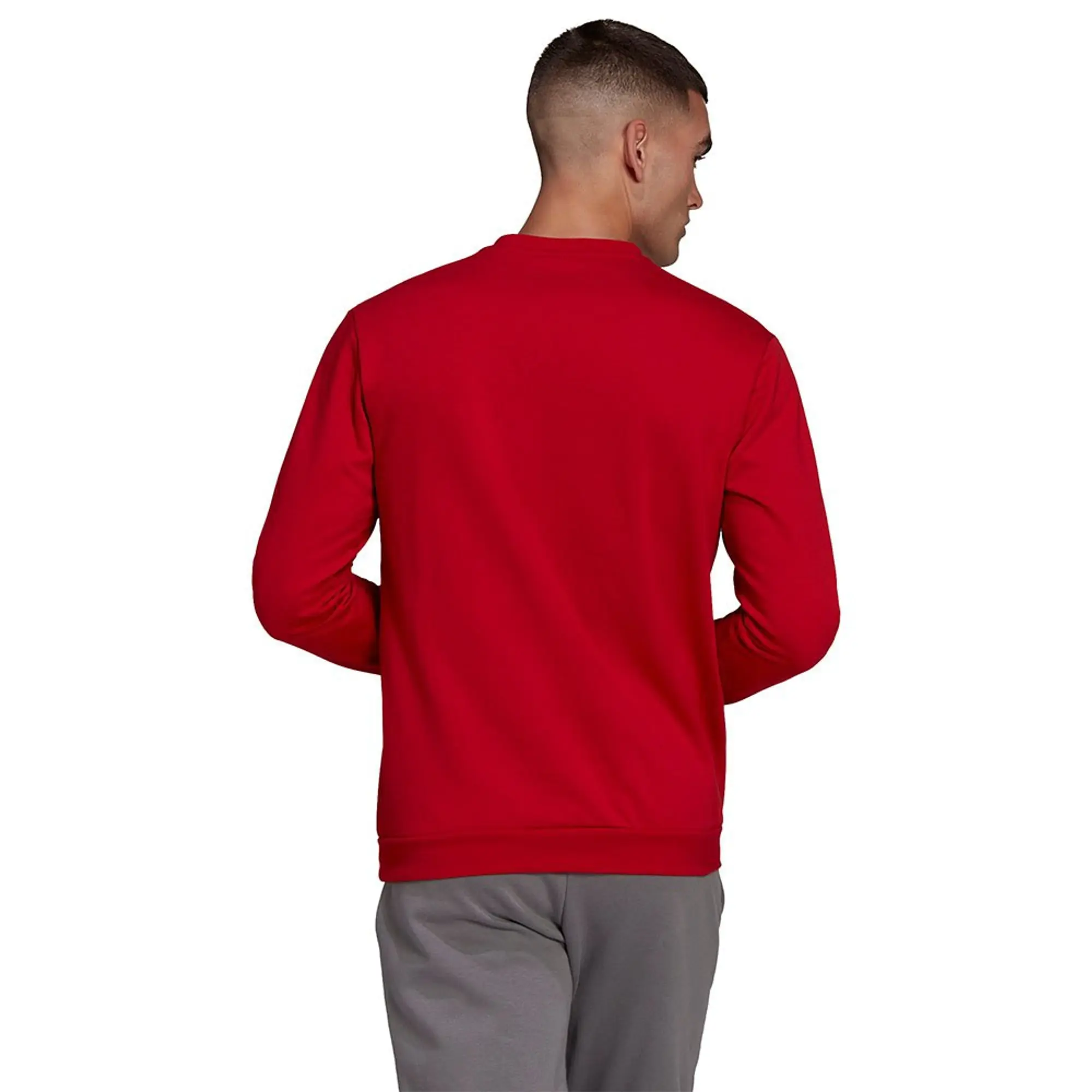 adidas Entrada 22 Sweatshirt