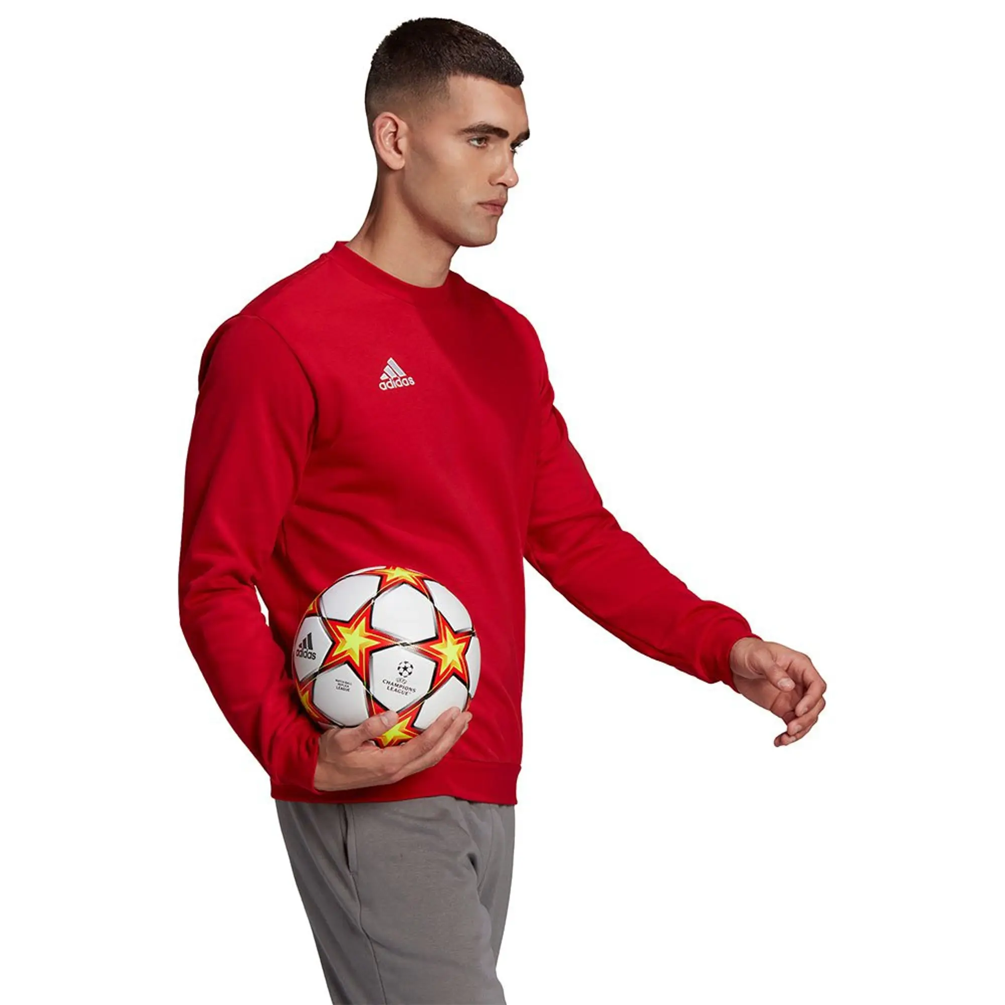 adidas Entrada 22 Sweatshirt