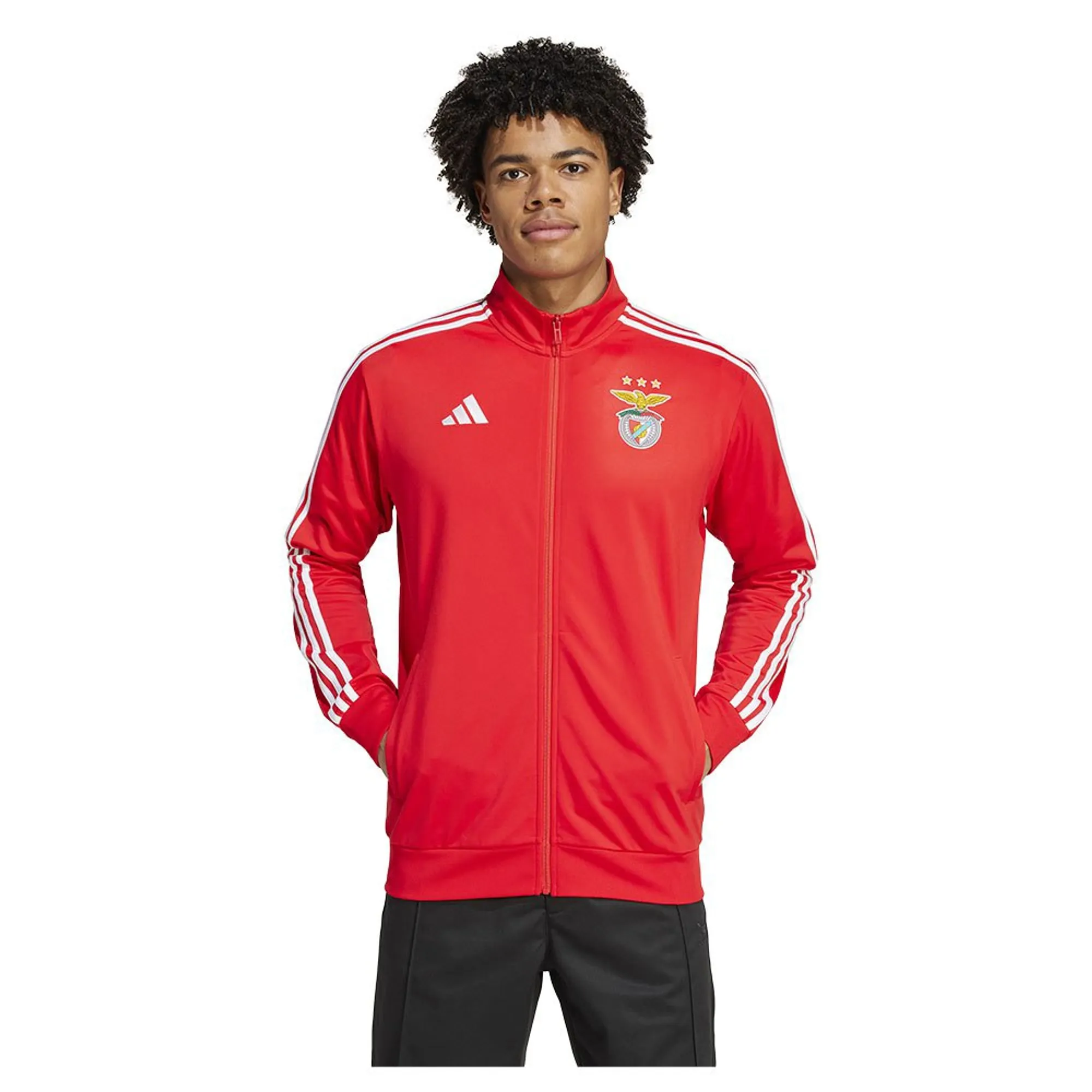 Adidas Benfica Lisboa Dna 24/25 Tracksuit Jacket  - Red