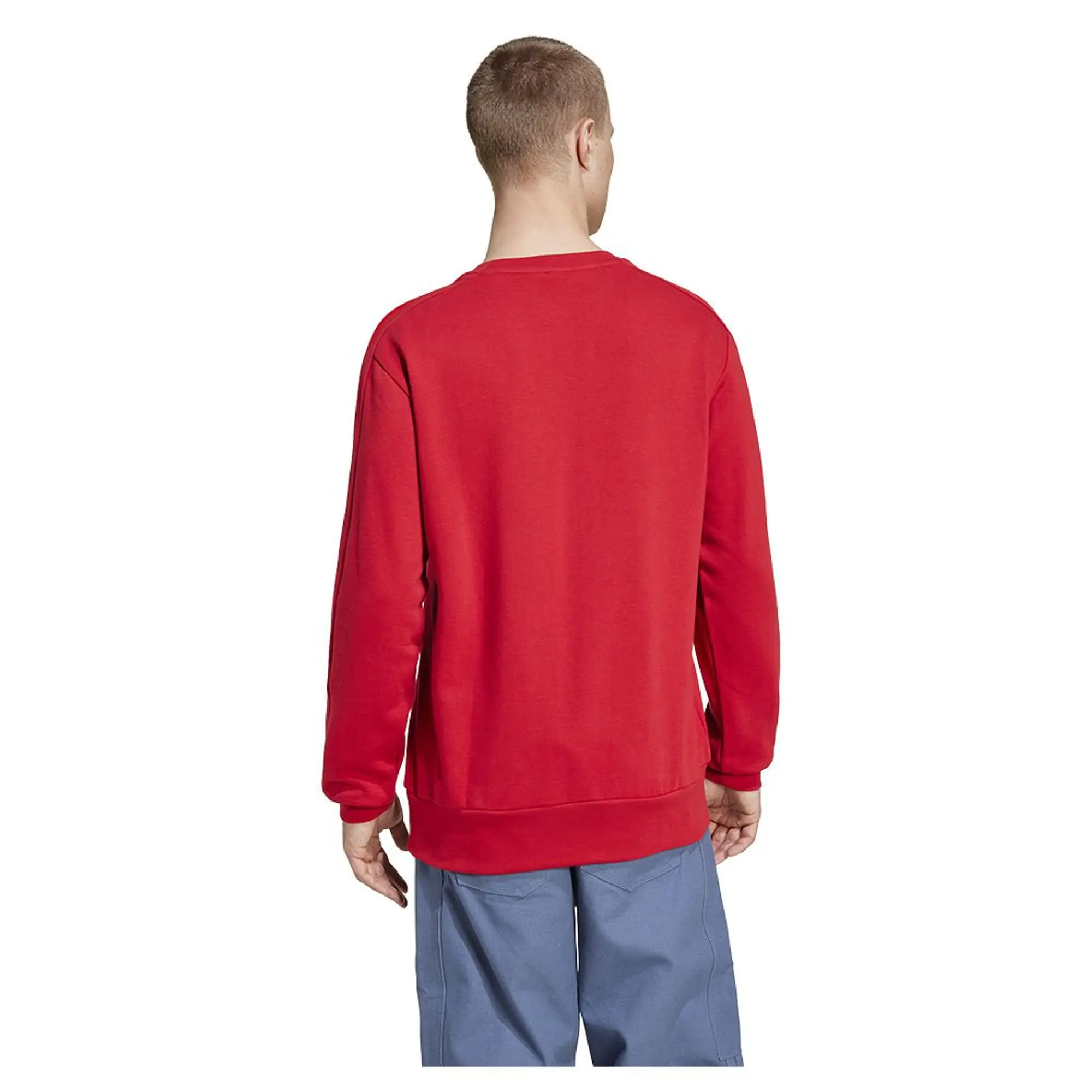adidas FC Bayern Munich DNA Sweatshirt 2024 2025 Adults