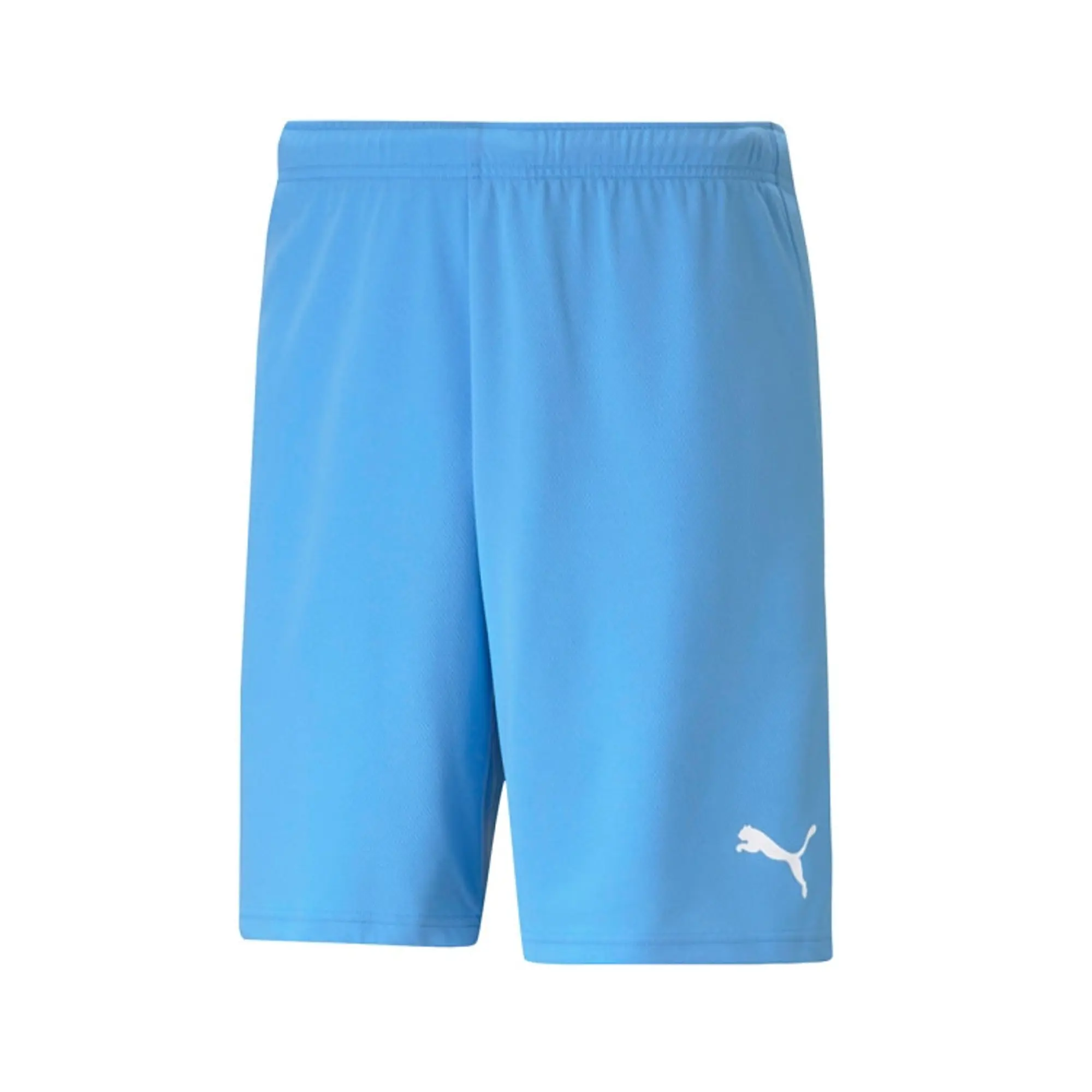 Puma teamRISE Shorts
