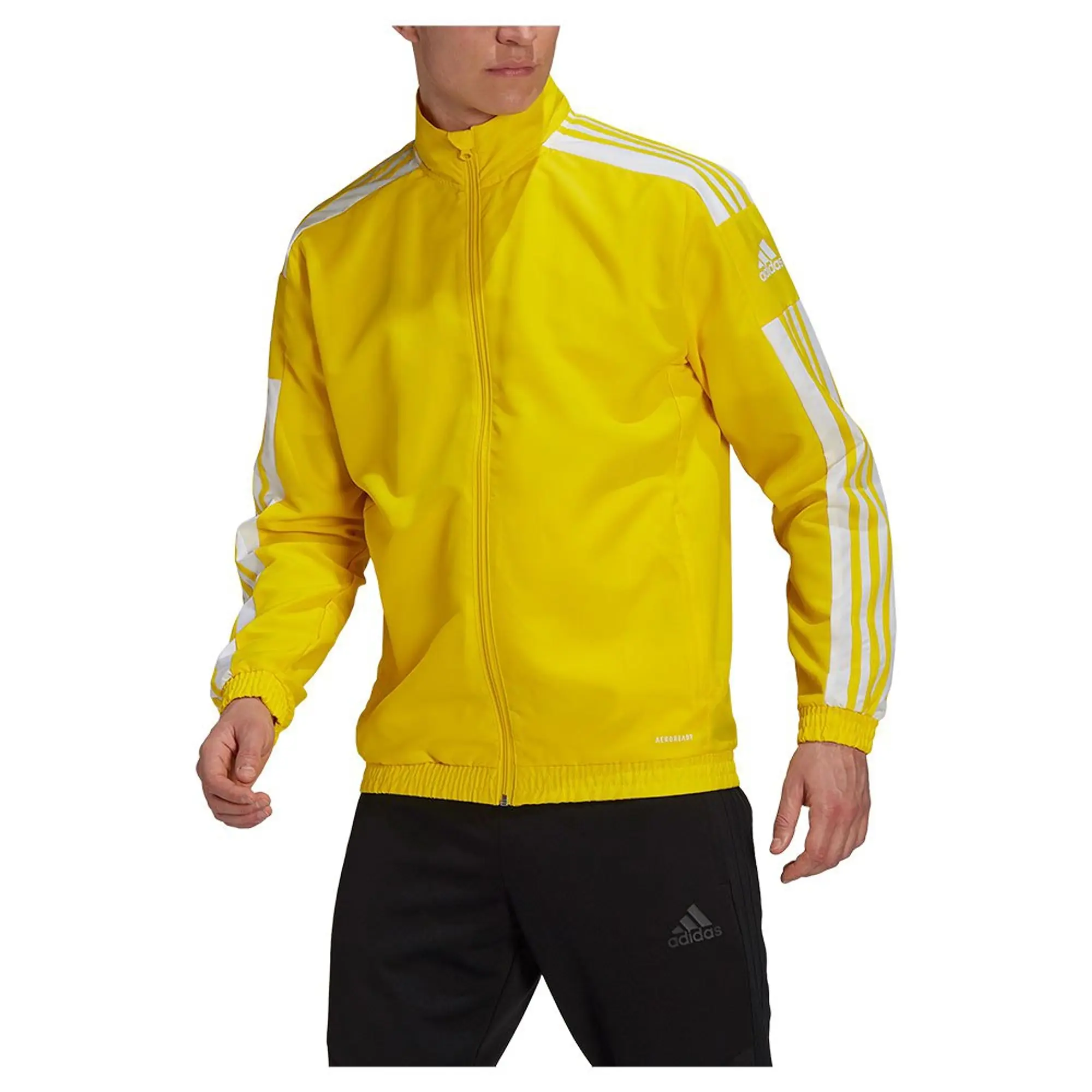 adidas Squadra 21 Presentation Jacket