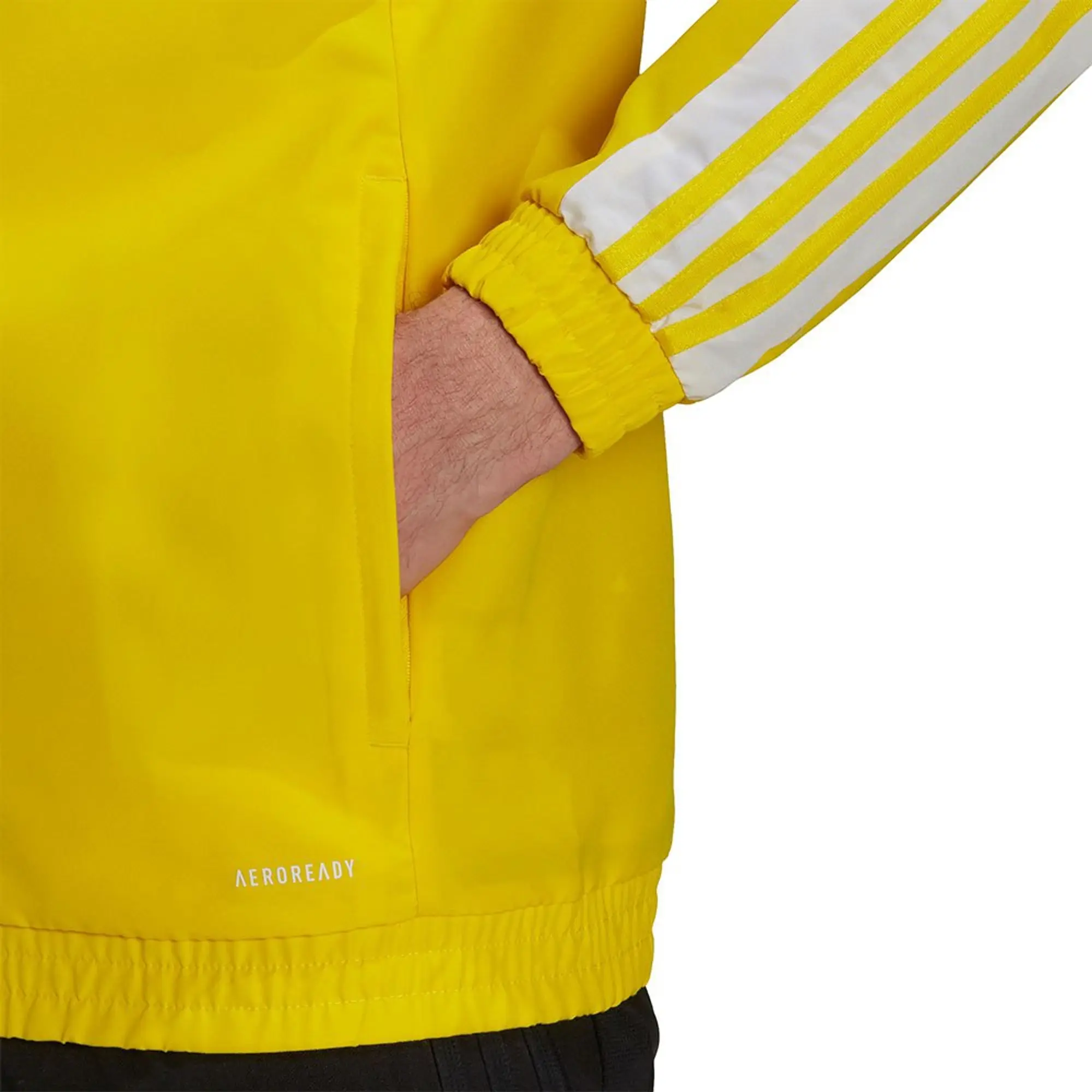 adidas Squadra 21 Presentation Jacket