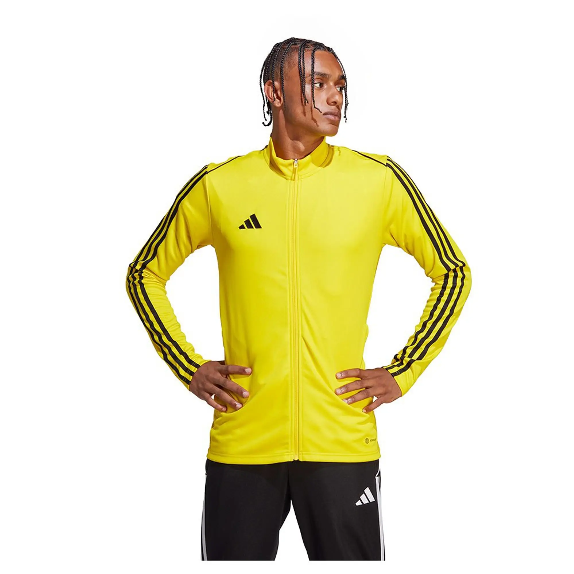 Adidas Tiro23l Jacket  - Yellow