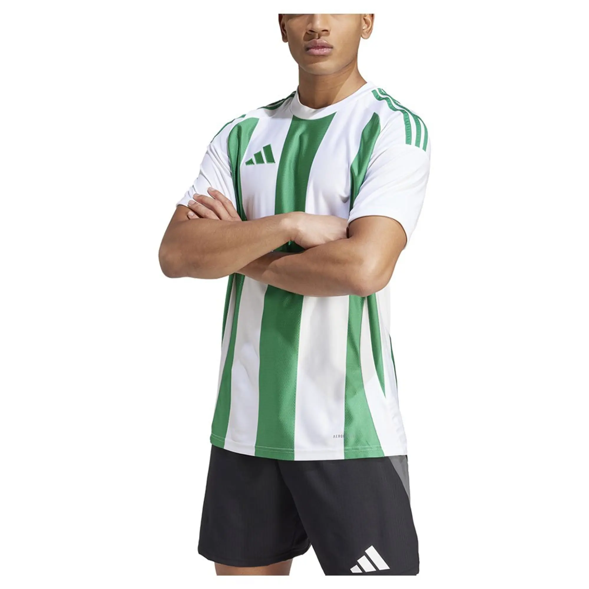 Adidas Playershirt Striped 24 - ['White', 'Green']