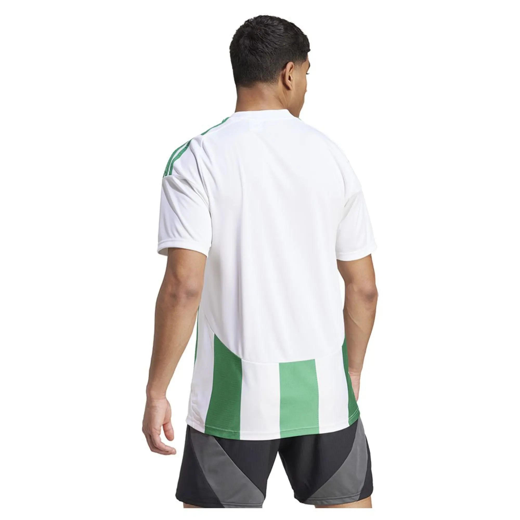 Adidas Playershirt Striped 24 - ['White', 'Green']