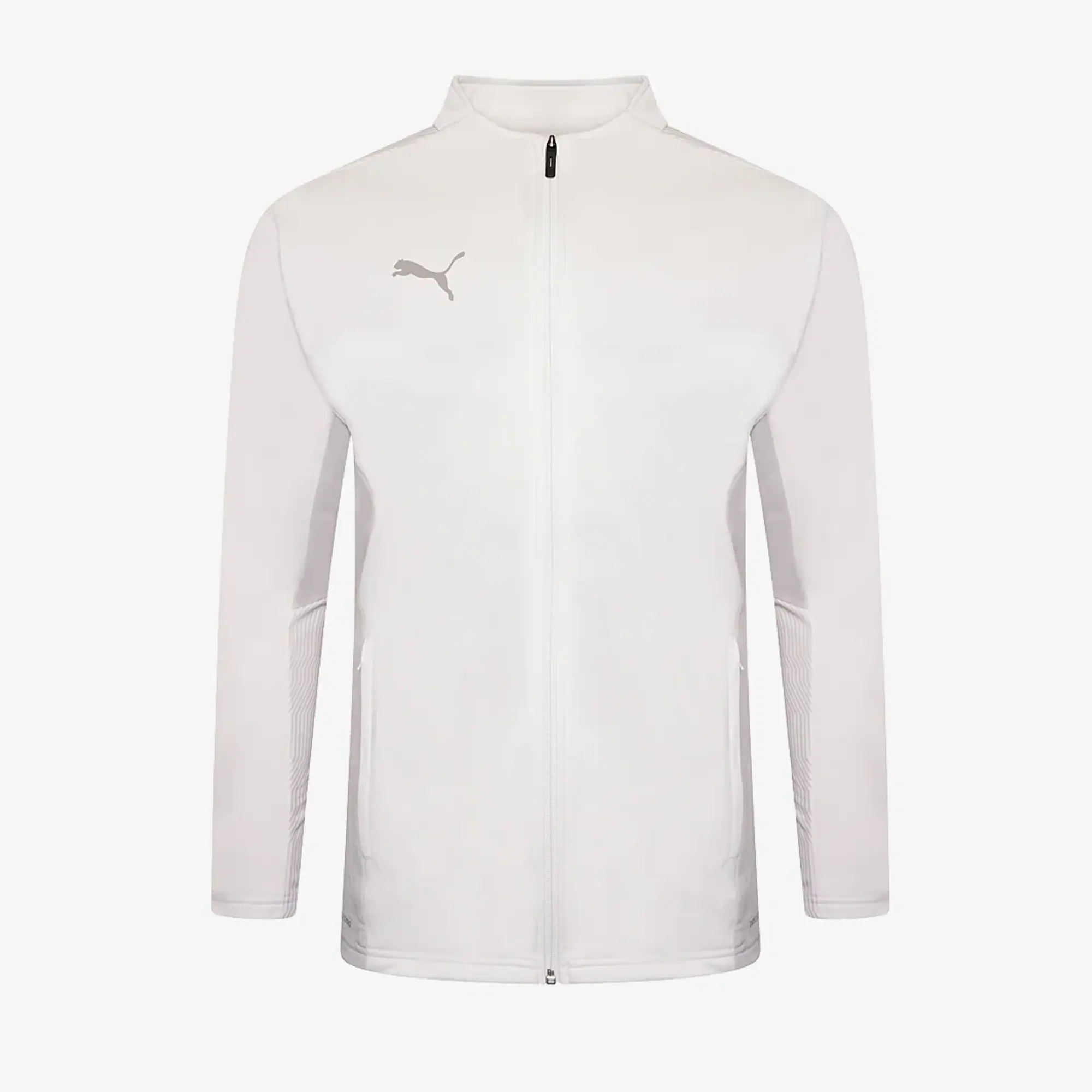 Puma teamCUP Training Jacket