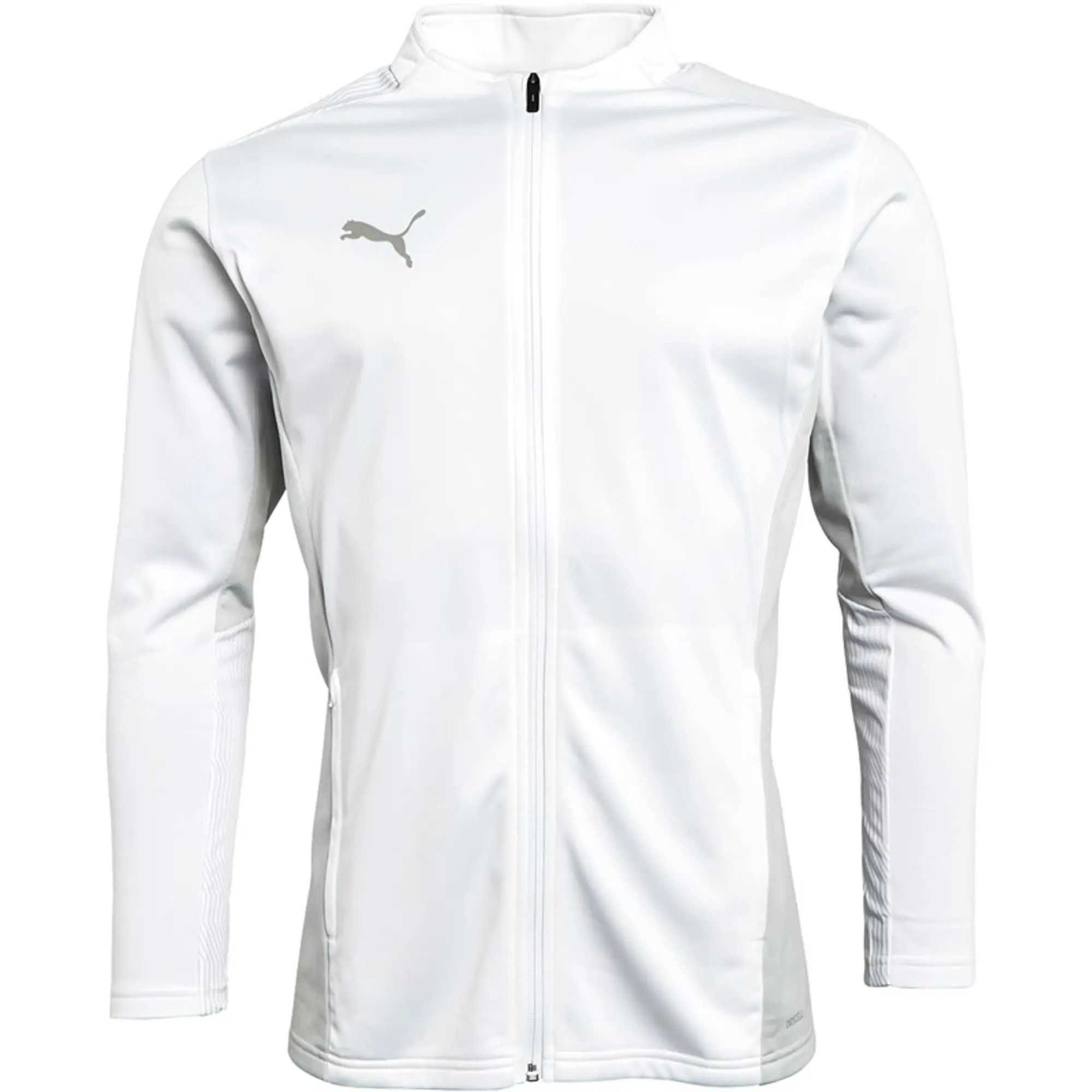 Puma teamCUP Training Jacket