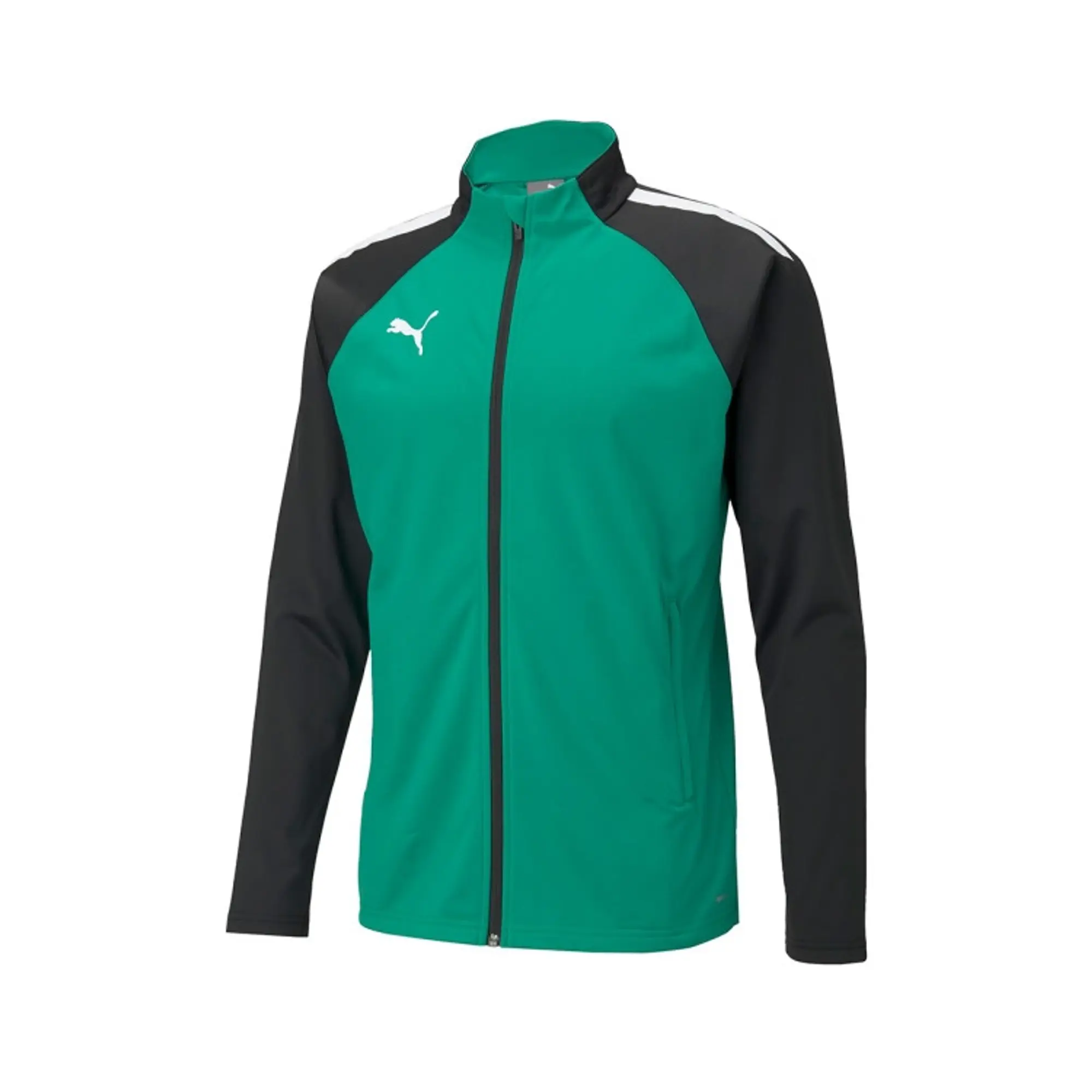 Teamliga Training Jacket Pepper Green-Puma Black - ['Green']