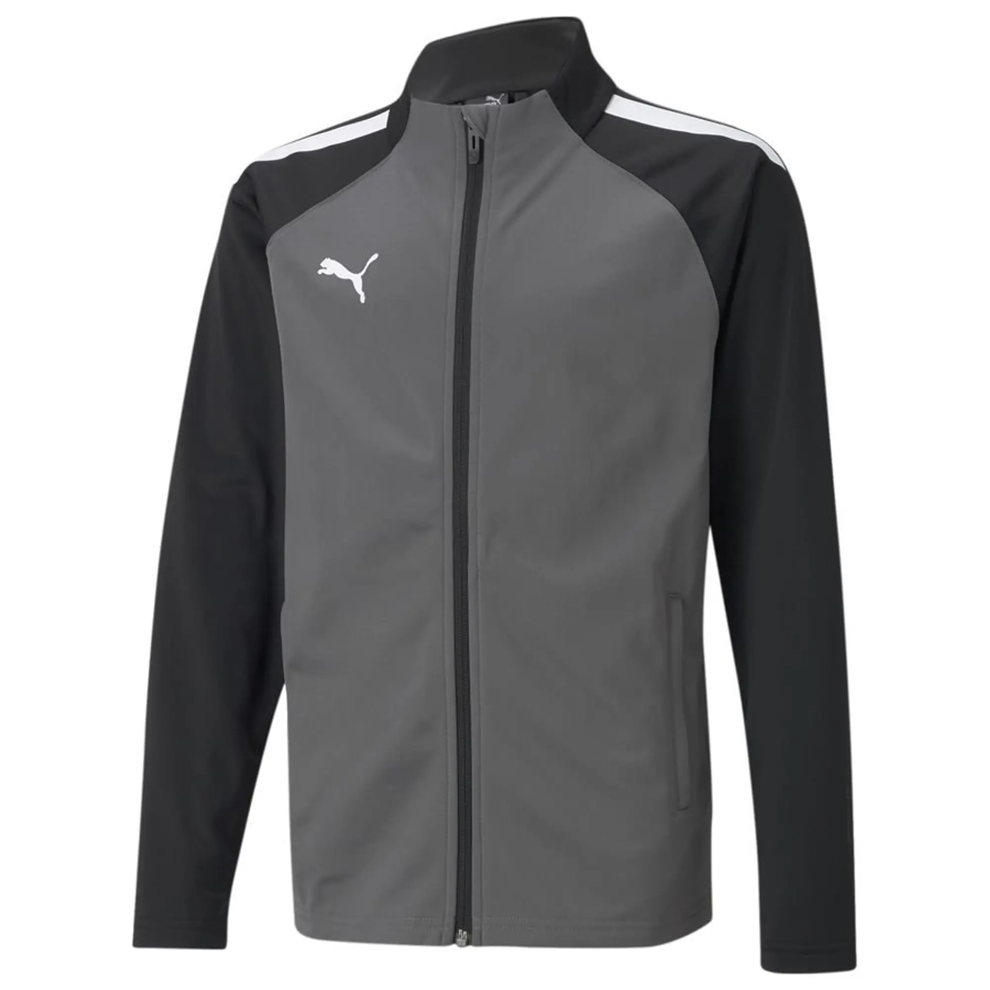 Puma Teamliga Training Jacket Junior - ['Grey']