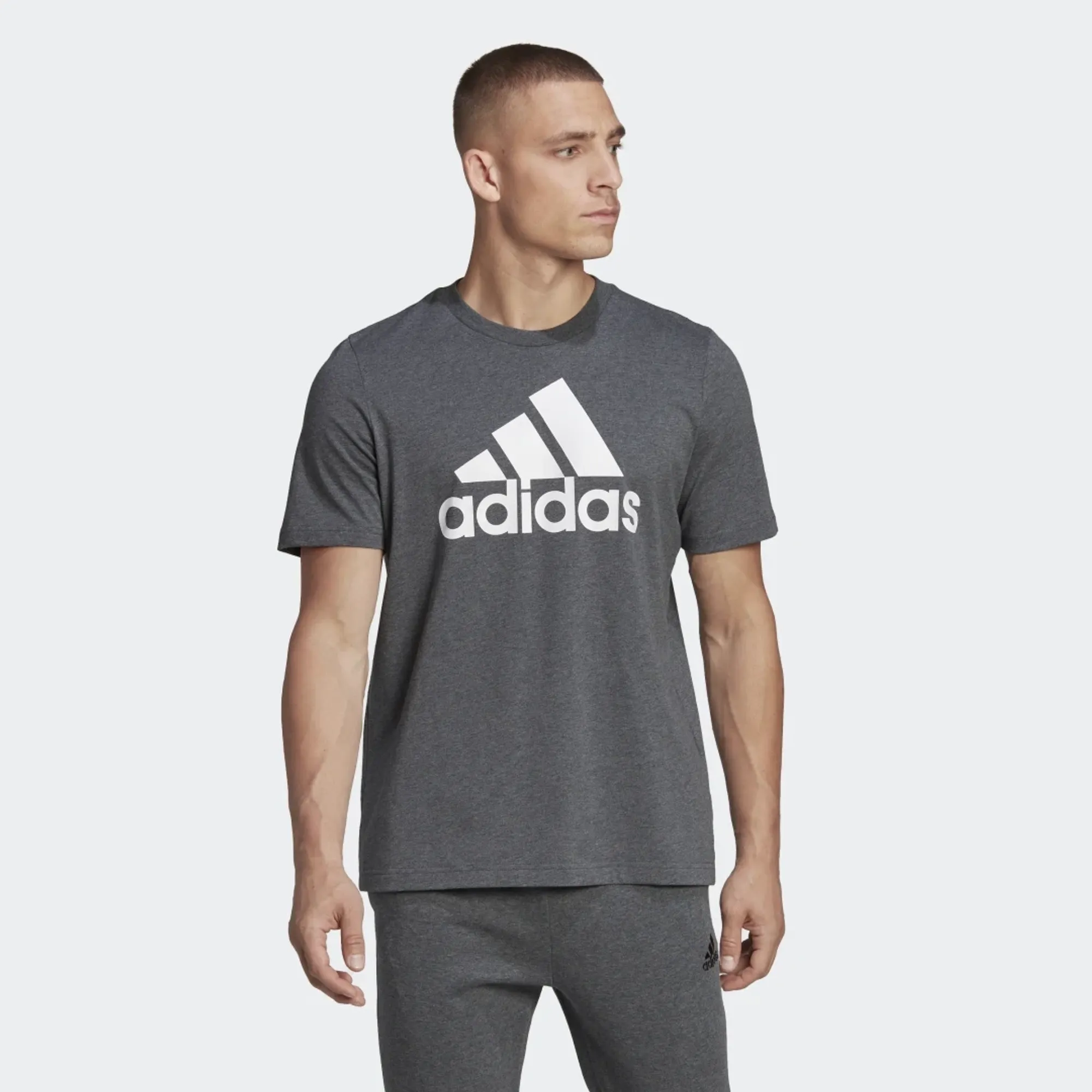 adidas Essentials Big Logo T-Shirt
