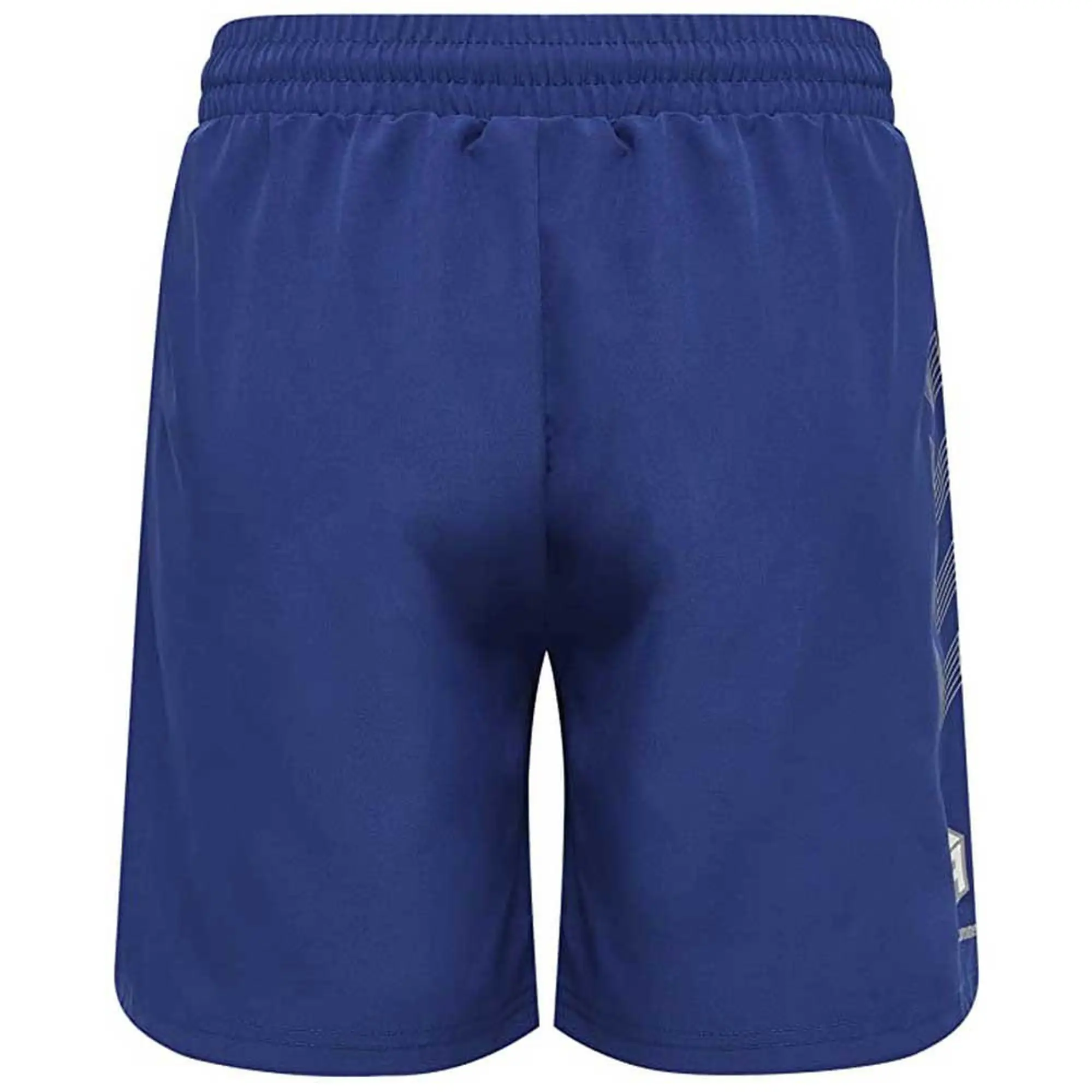 Hummel Move Grid Woven Shorts  - Blue