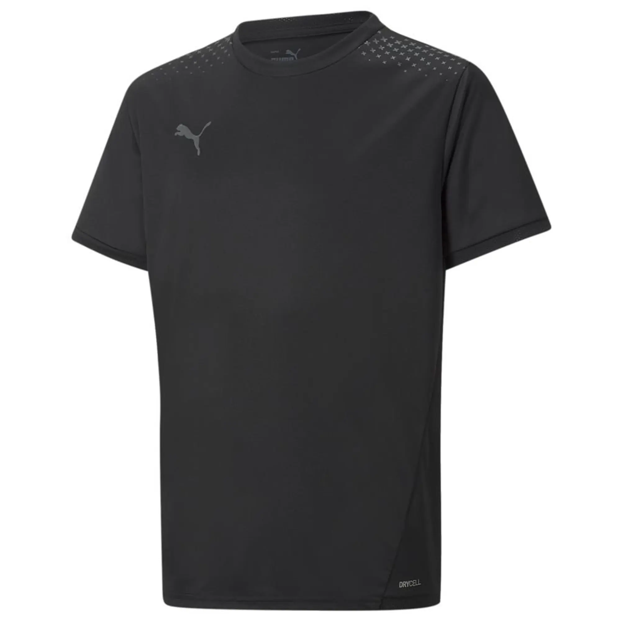 Puma Training T-Shirt Individualliga Warm - ['Black']